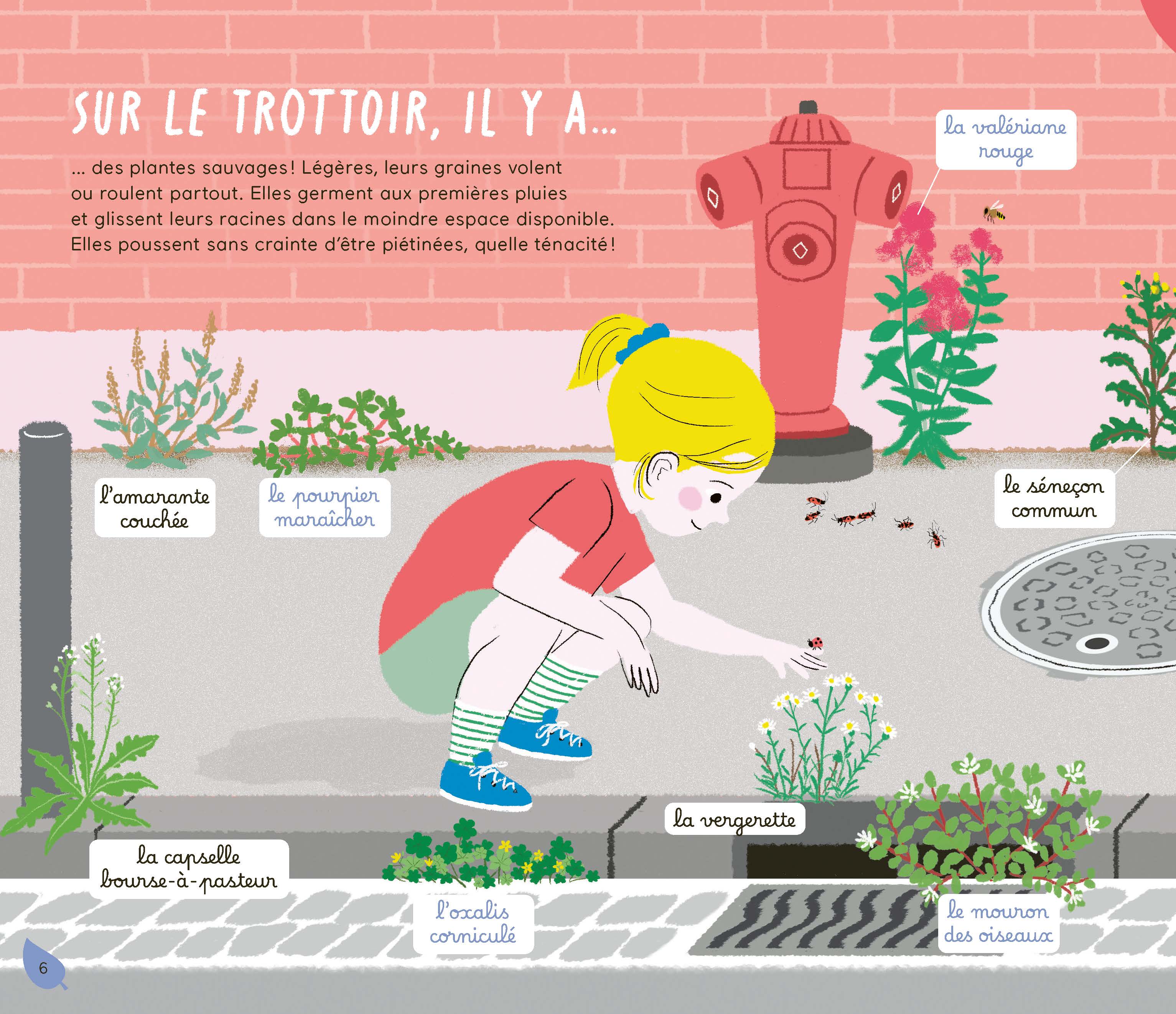 PAQUERETTE, CHARDON... DECOUVRE LA NATURE DANS TA RUE !