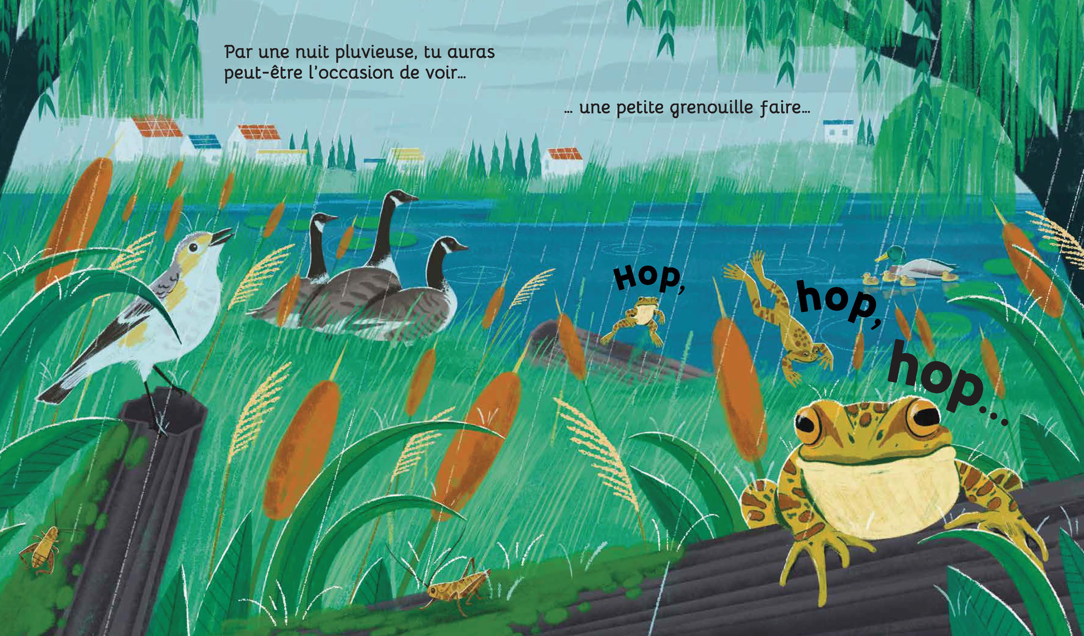 REGARDE-MOI GRANDIR : LA GRENOUILLE