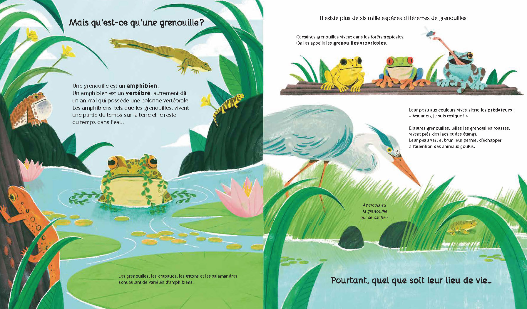 REGARDE-MOI GRANDIR : LA GRENOUILLE
