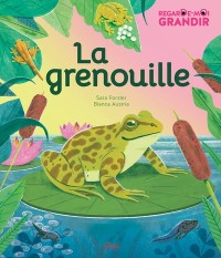 Voir les images