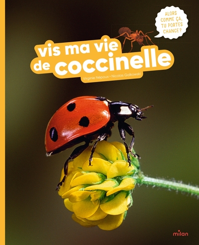VIS MA VIE DE COCCINELLE