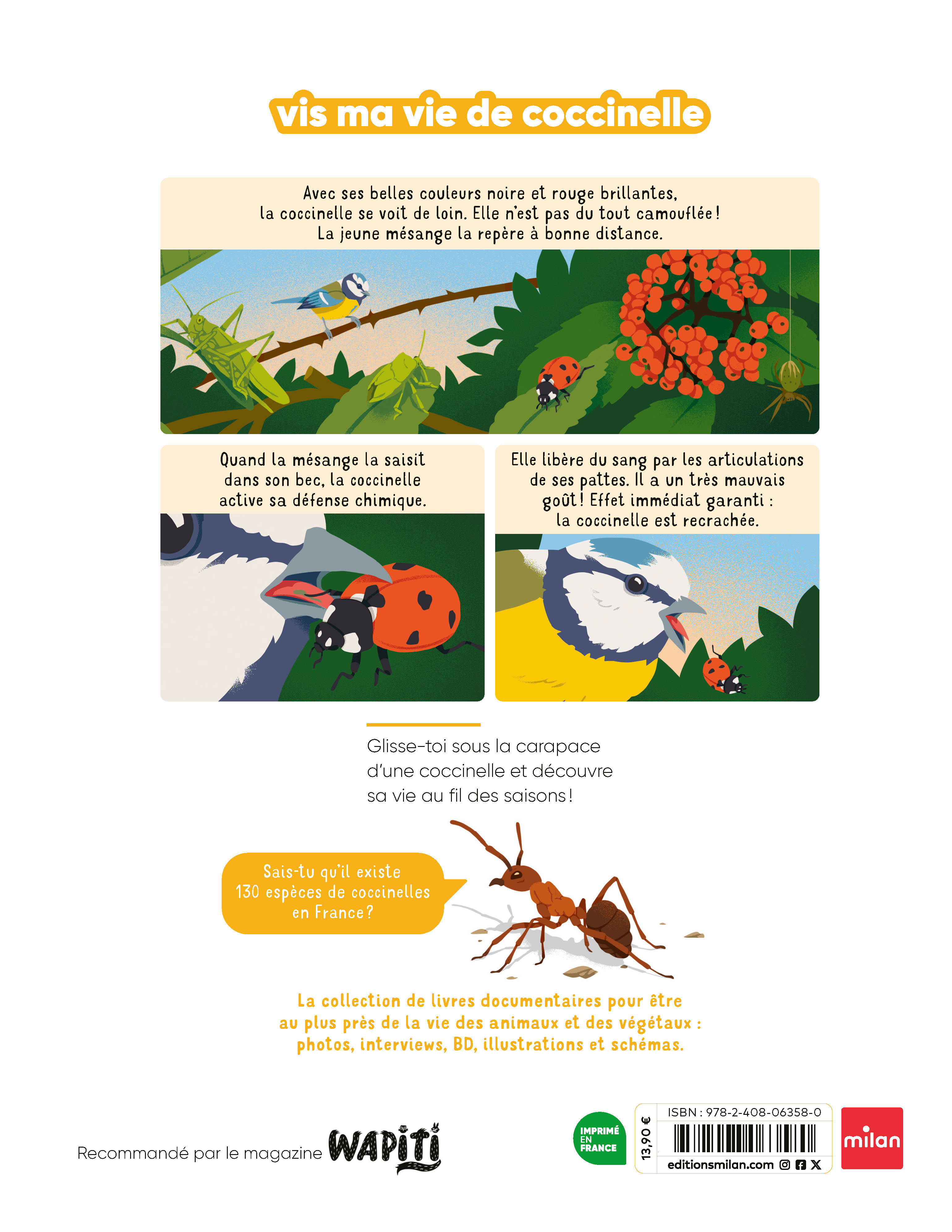 VIS MA VIE DE COCCINELLE