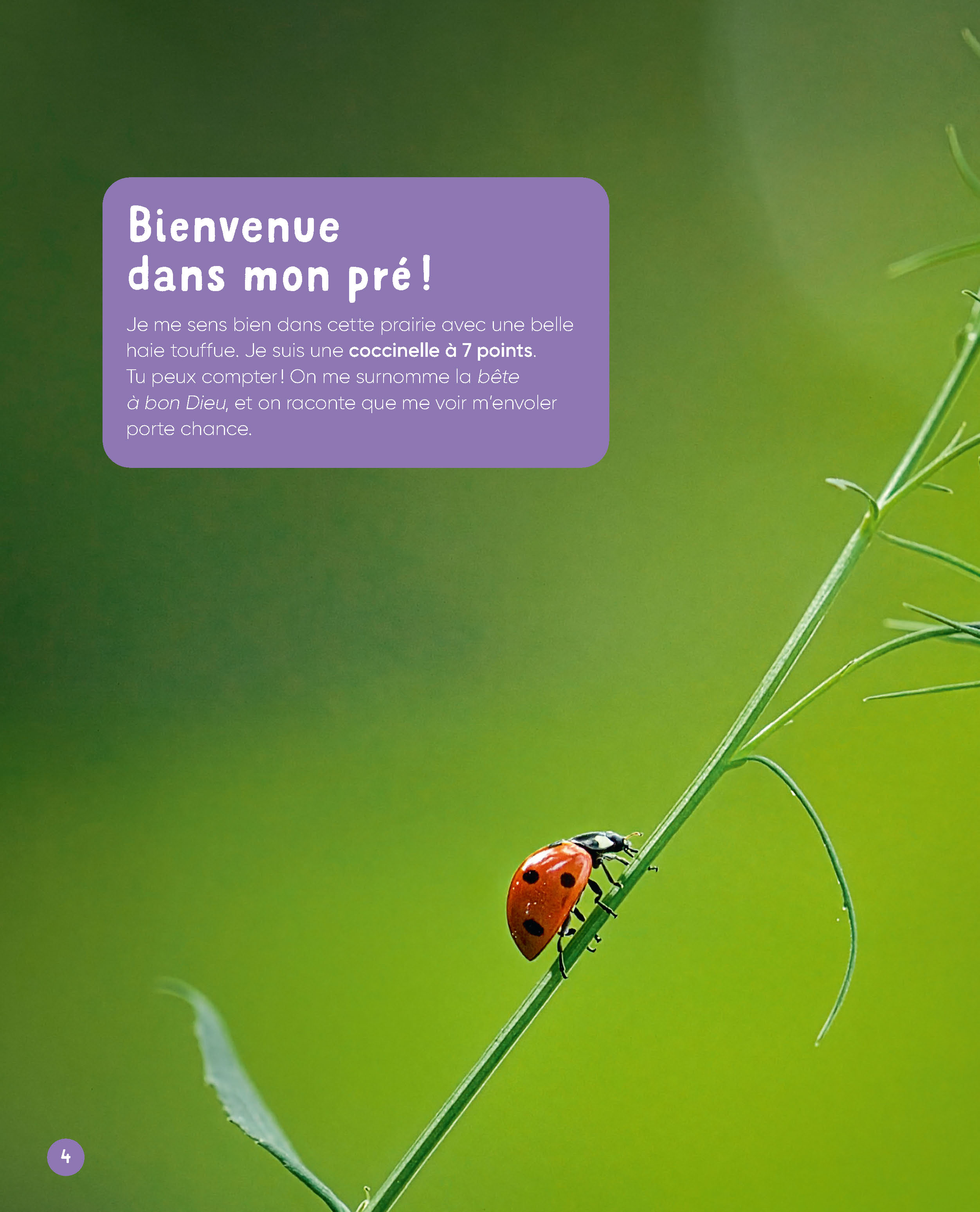 VIS MA VIE DE COCCINELLE