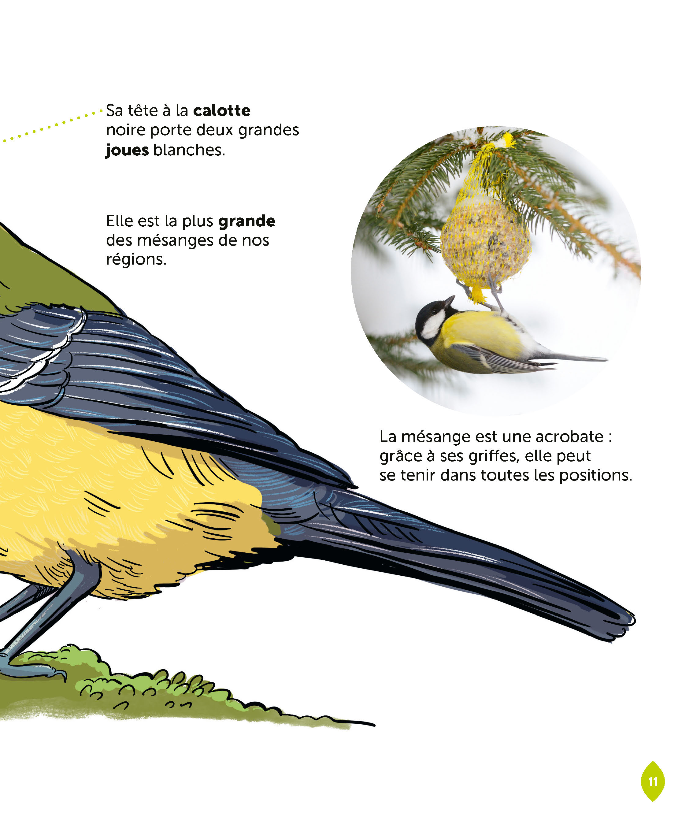 LA MESANGE