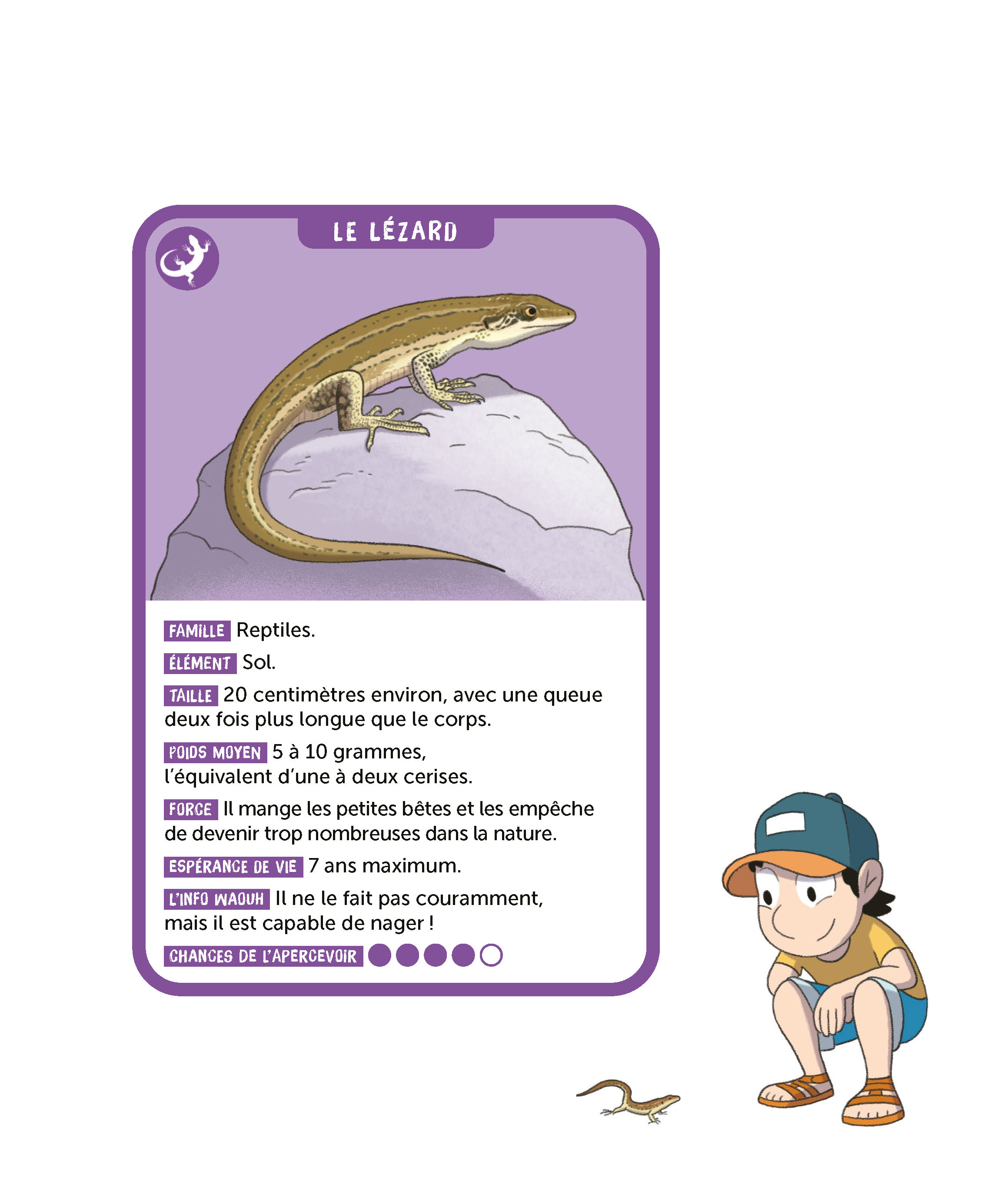 LE LEZARD