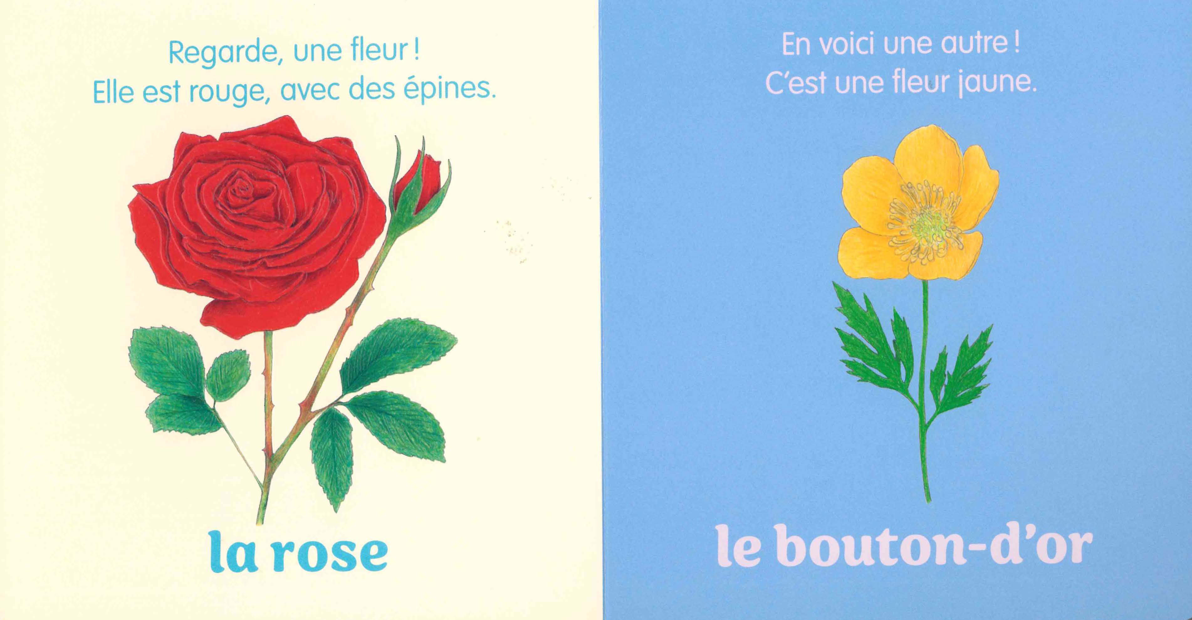 UNE FLEUR !