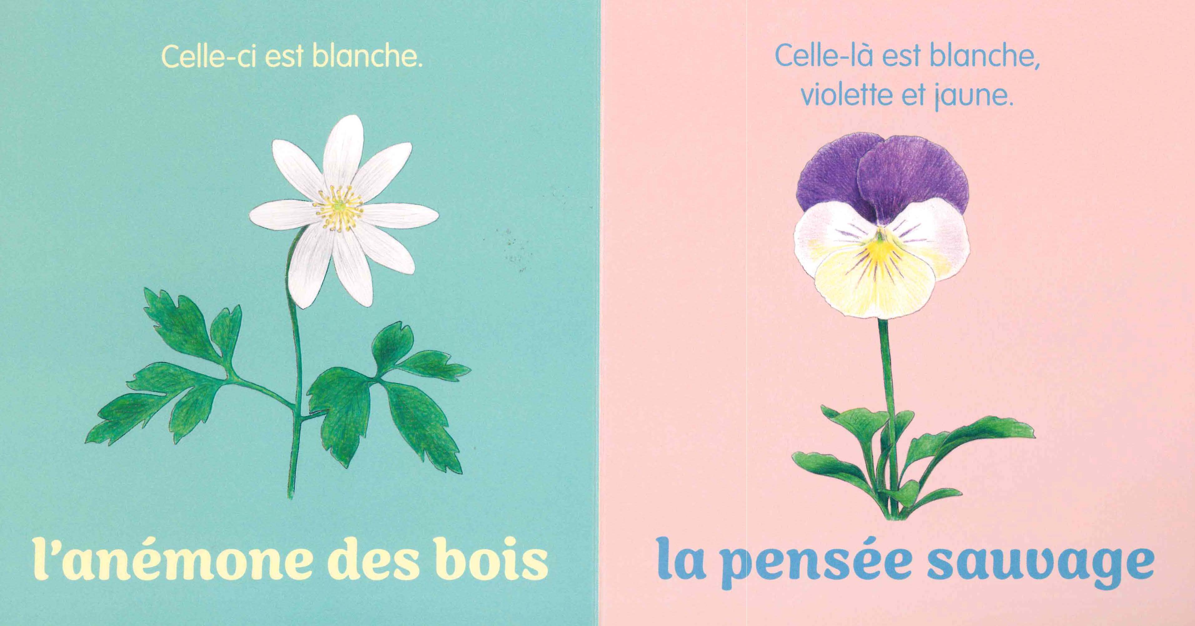 UNE FLEUR !
