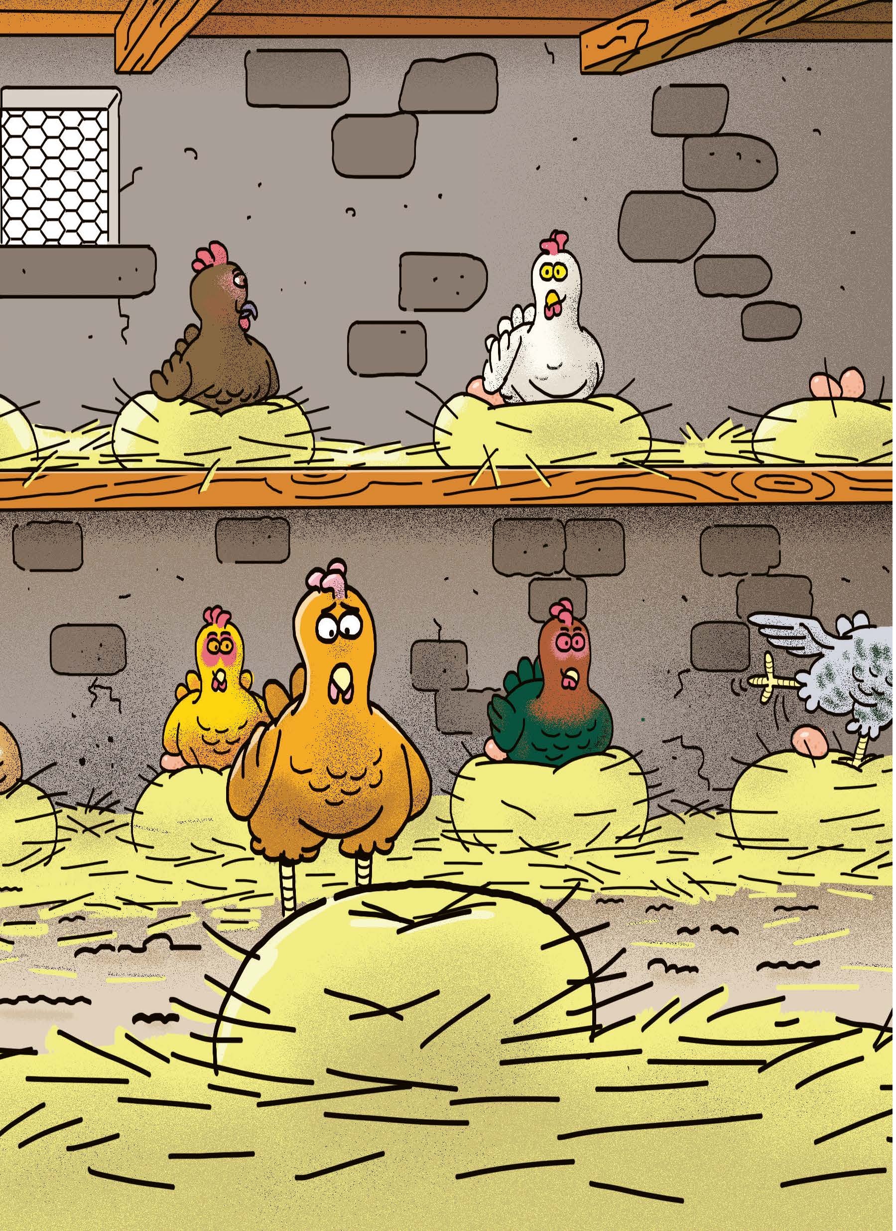 LA POULE QUI POND DES PATATES