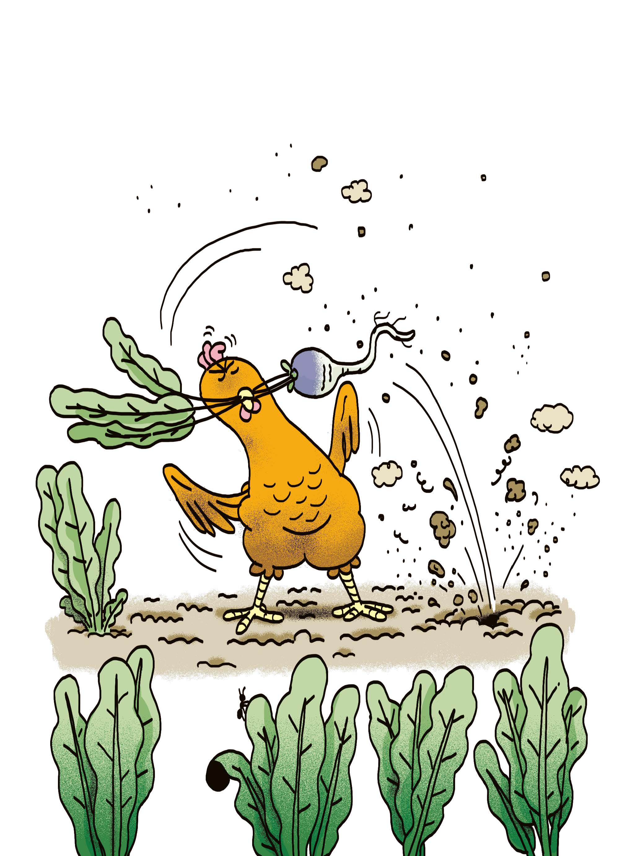 LA POULE QUI POND DES PATATES