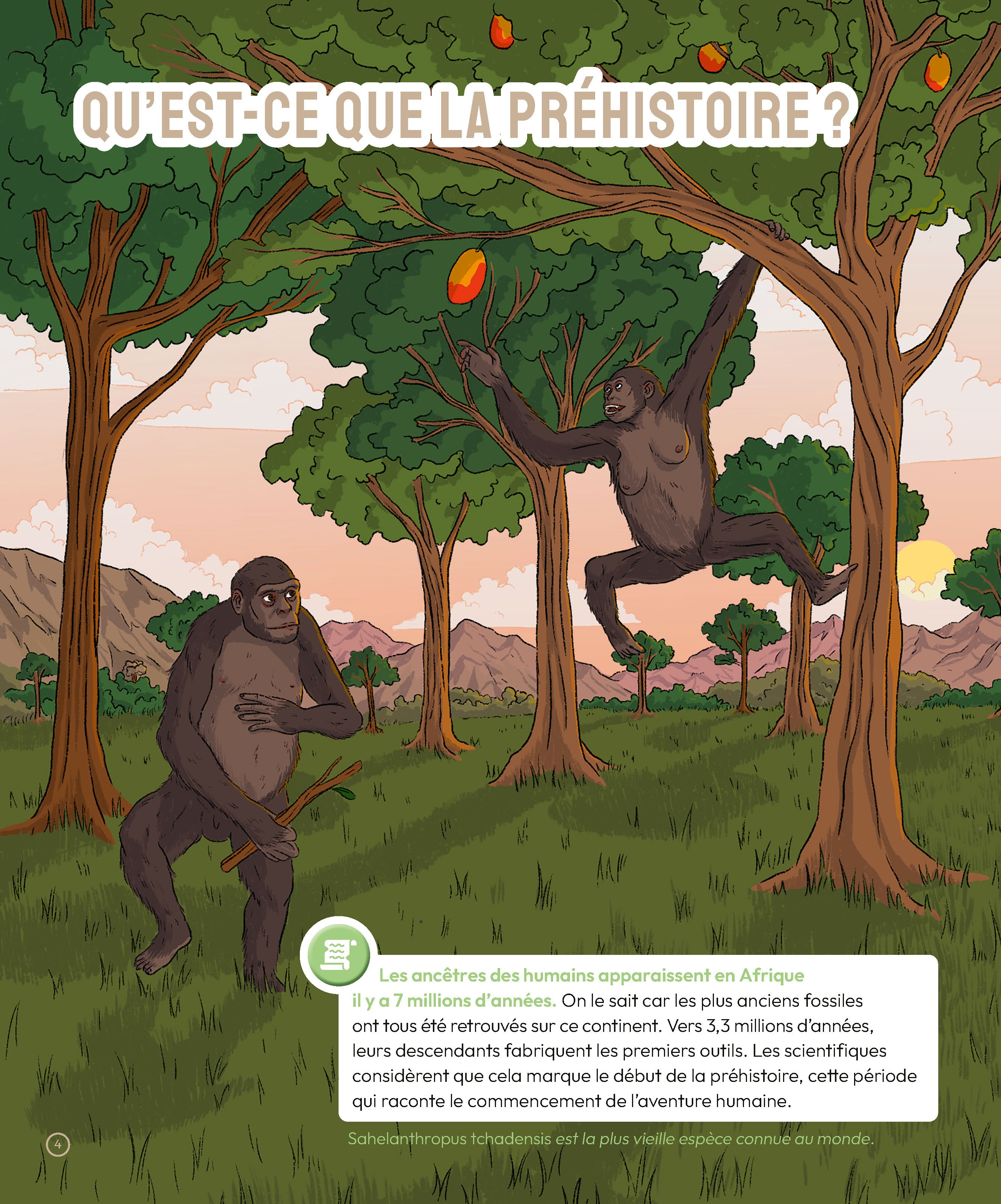 LA PREHISTOIRE EN QUESTIONS - TOPIC