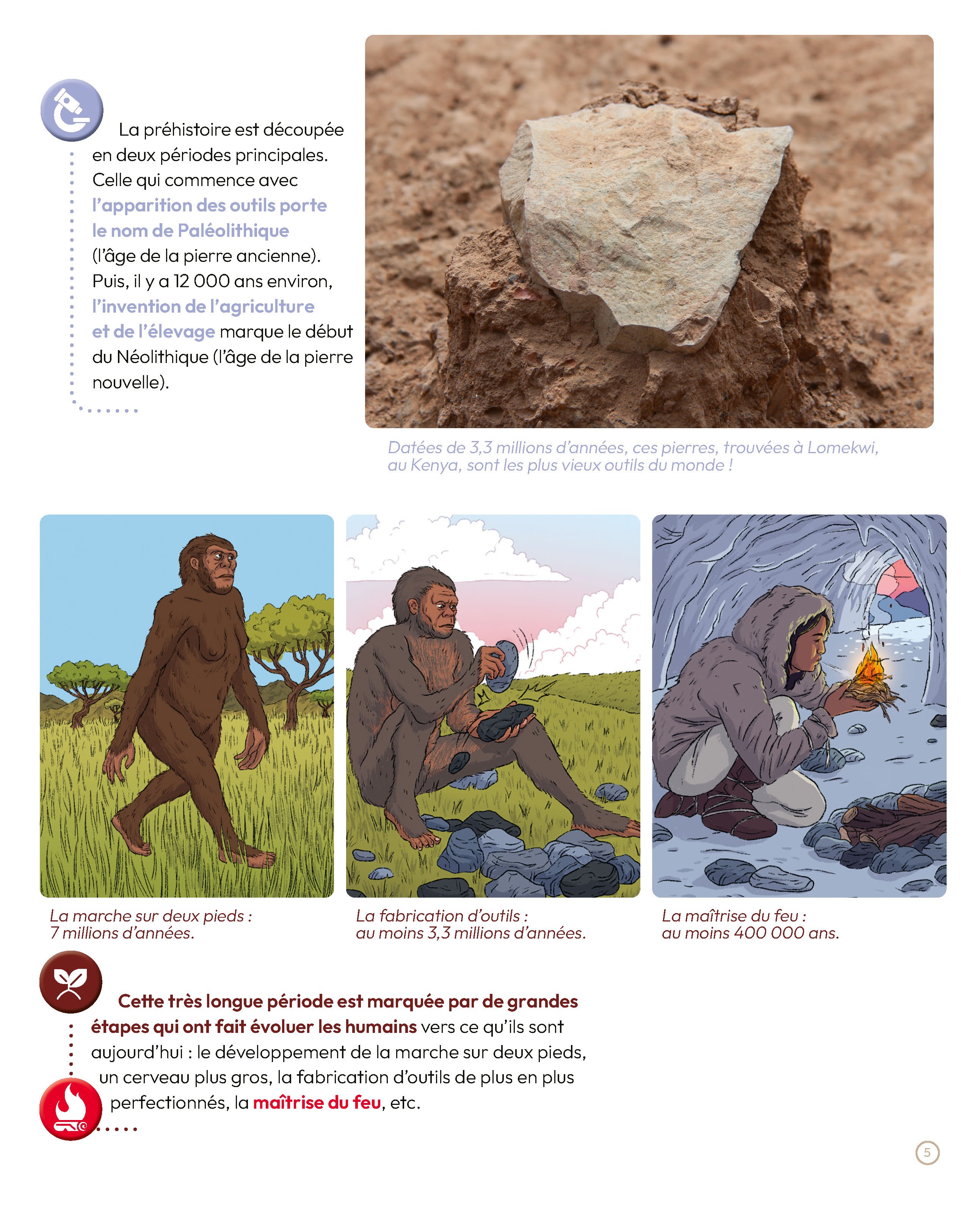 LA PREHISTOIRE EN QUESTIONS - TOPIC