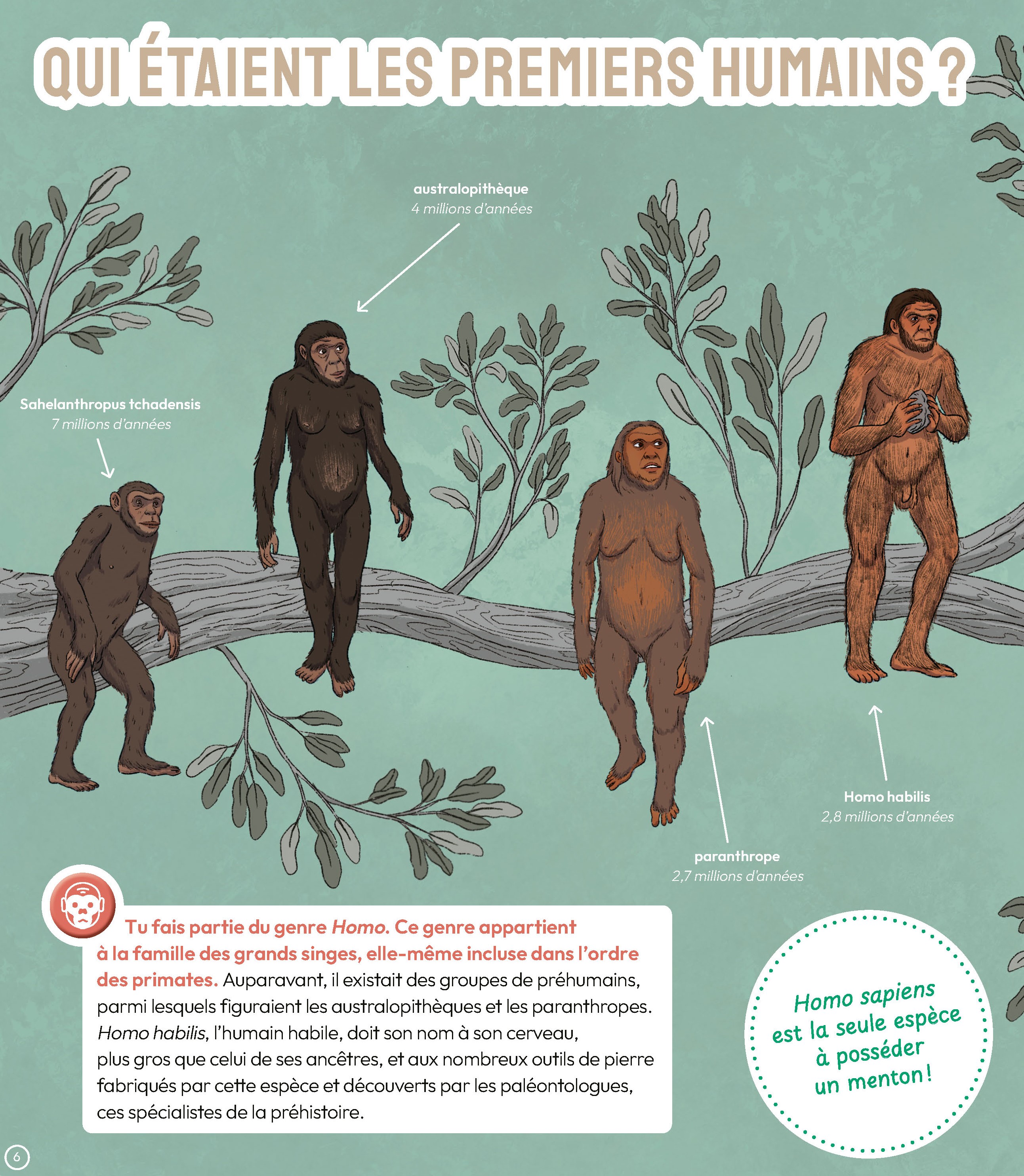 LA PREHISTOIRE EN QUESTIONS - TOPIC
