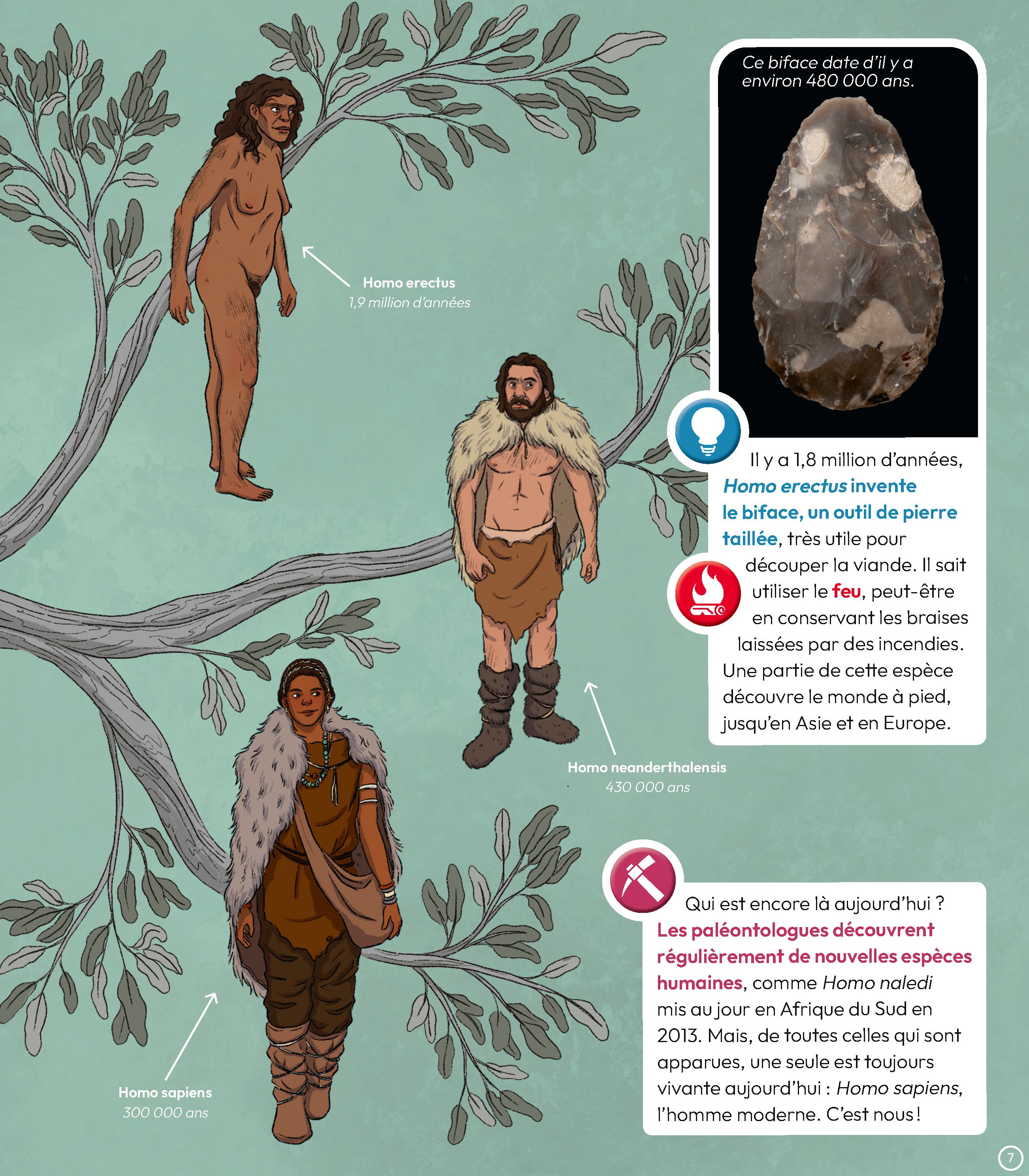 LA PREHISTOIRE EN QUESTIONS - TOPIC