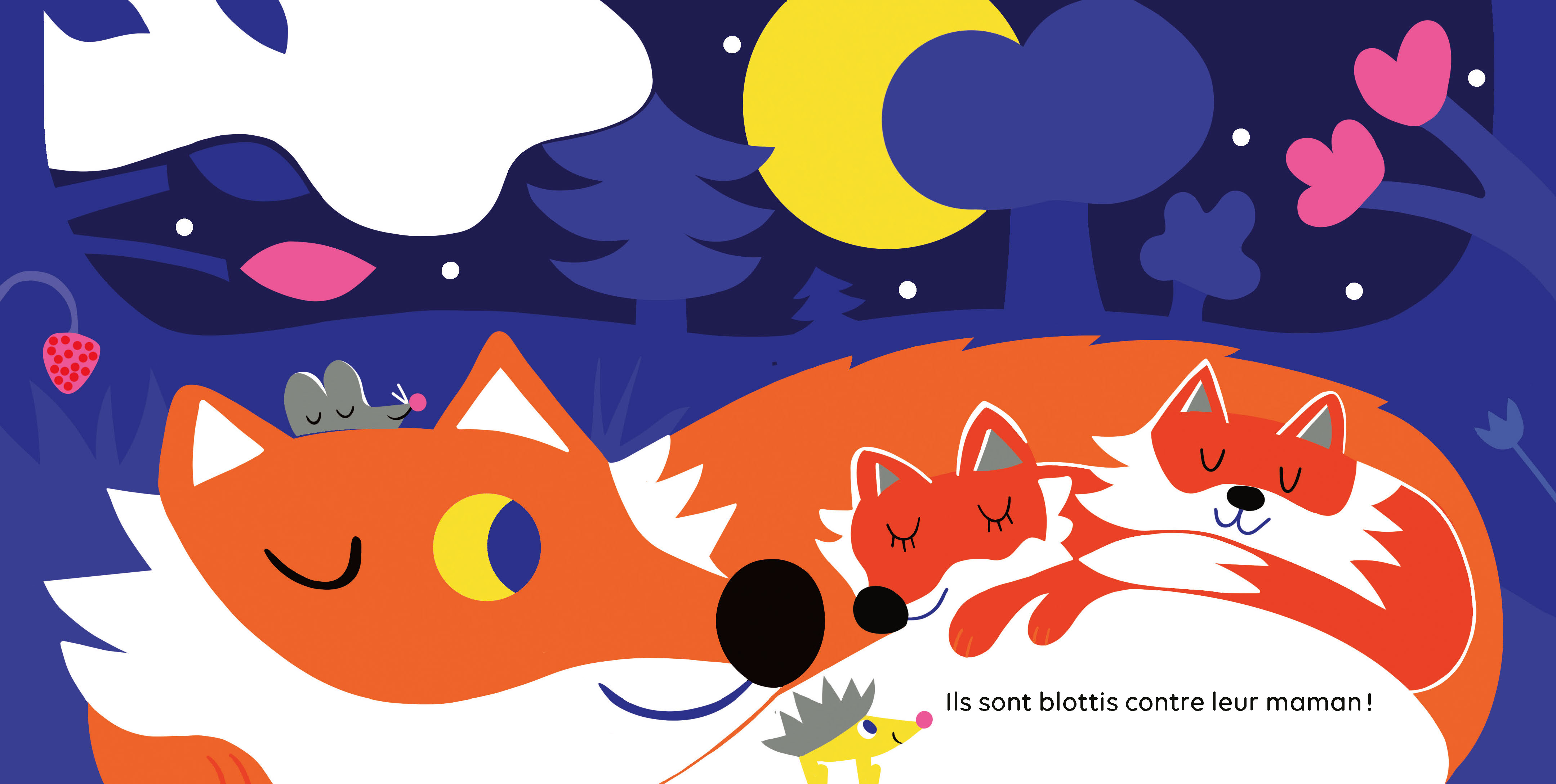 SURPRISES... DANS LA NUIT !
