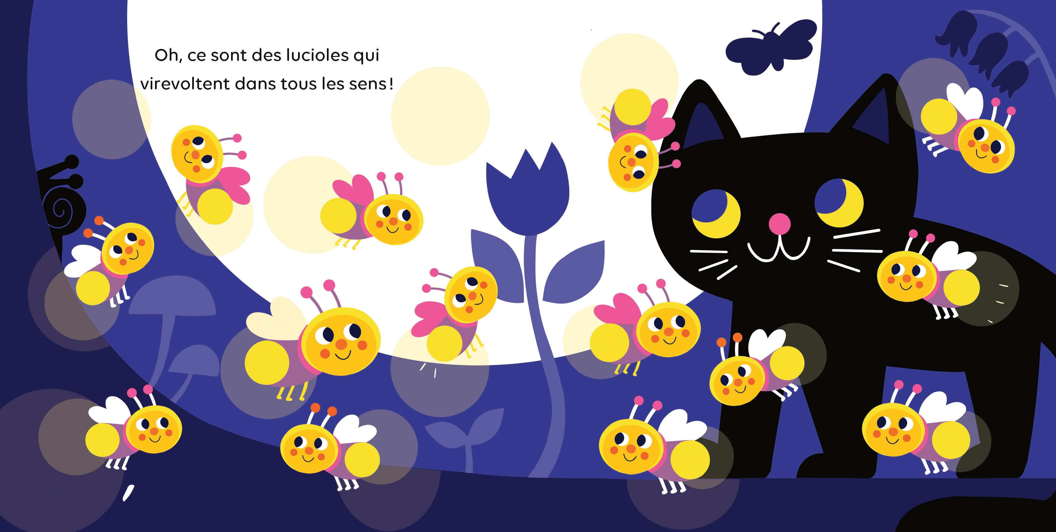 SURPRISES... DANS LA NUIT !
