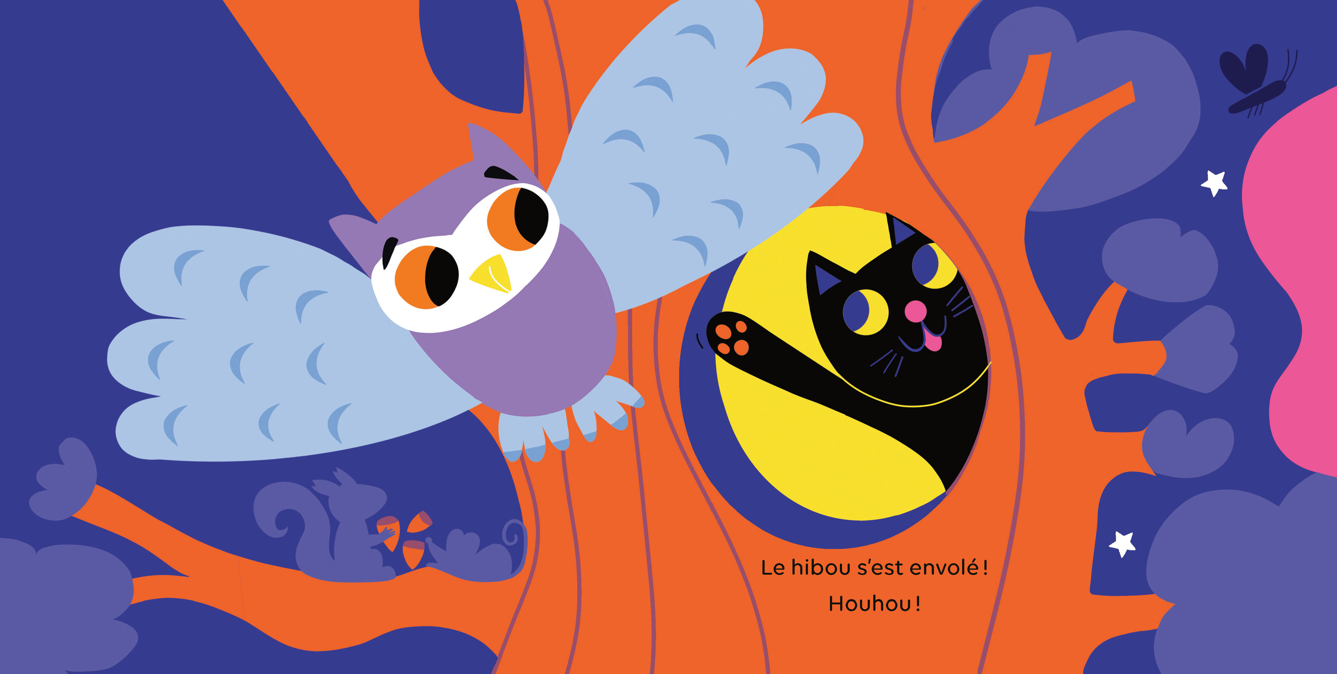 SURPRISES... DANS LA NUIT !