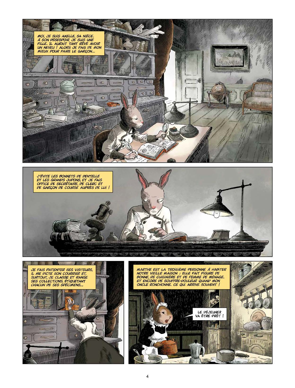 VOYAGE AU CENTRE DE LA TERRE : DE JULES VERNE T1