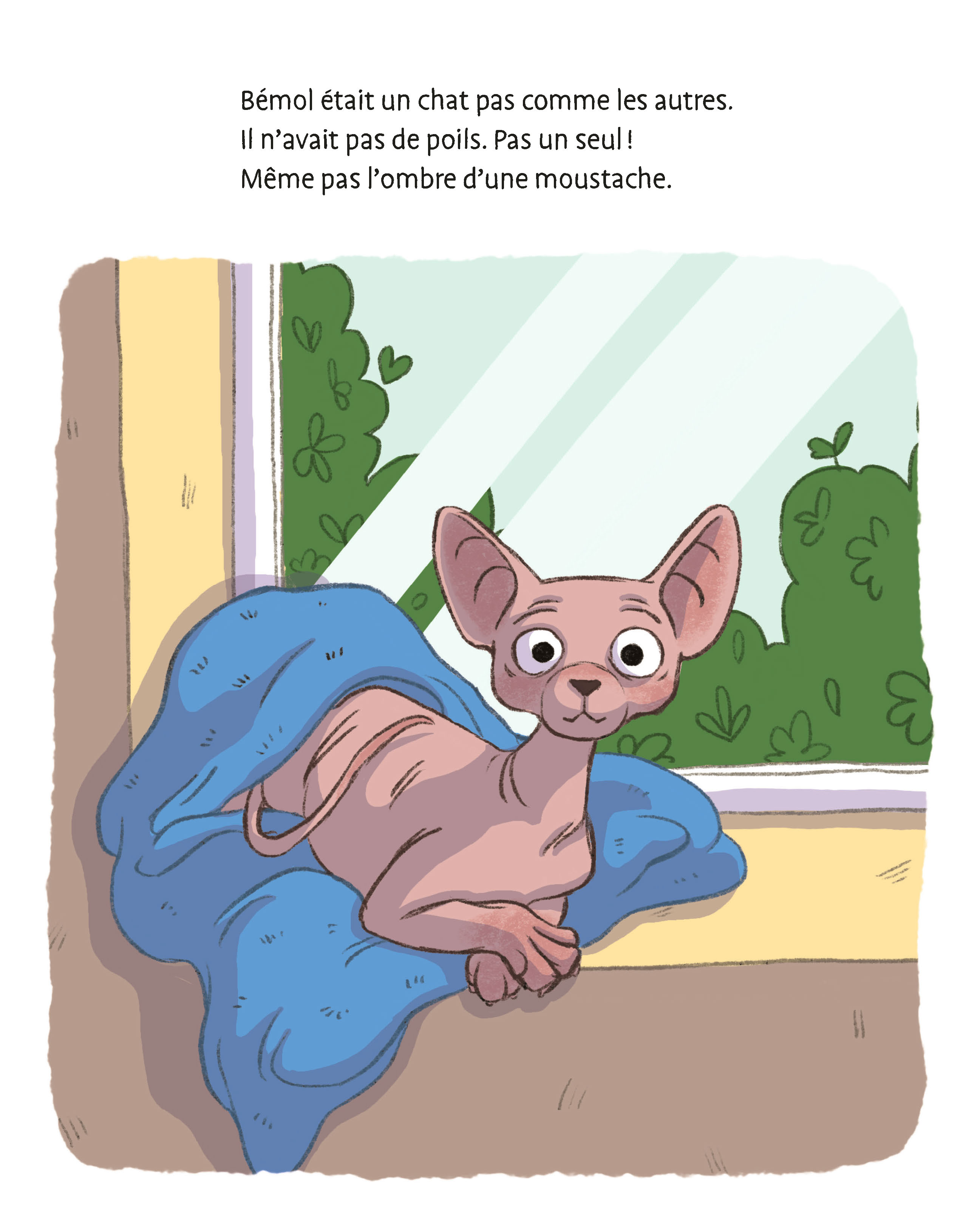 LE PETIT CHAT SANS POILS LE PETIT CHAT SANS POILS