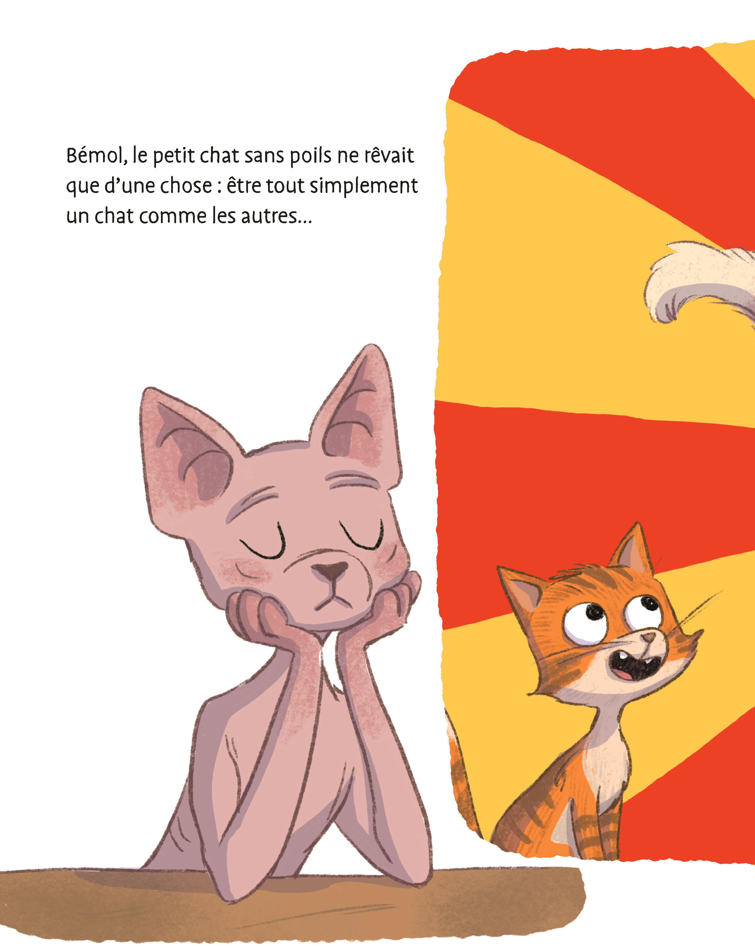 LE PETIT CHAT SANS POILS LE PETIT CHAT SANS POILS
