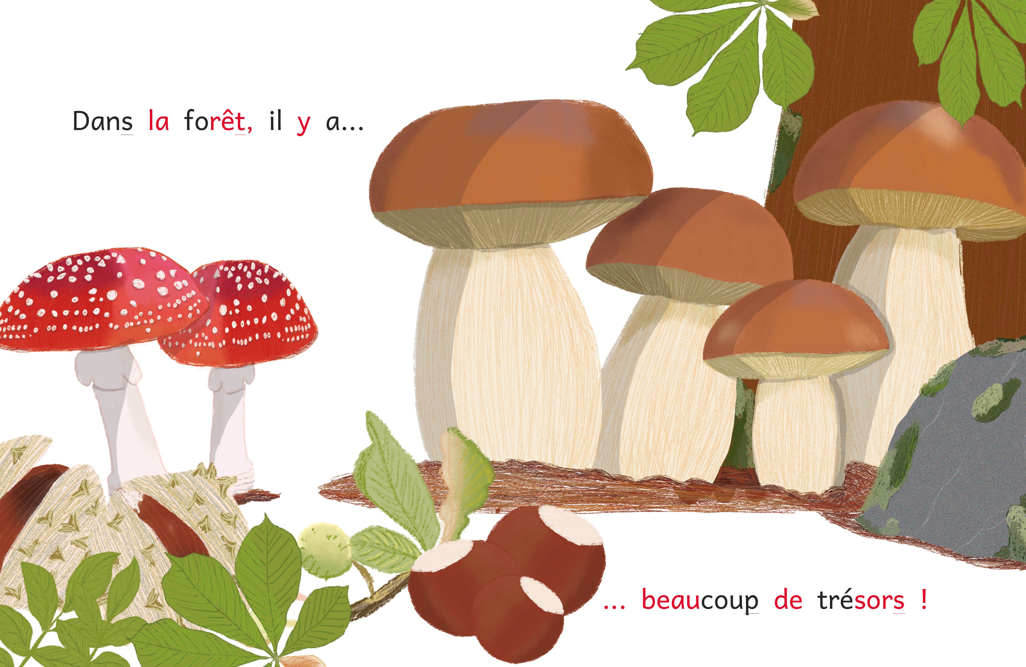 CHARLIE ET MIAM : L