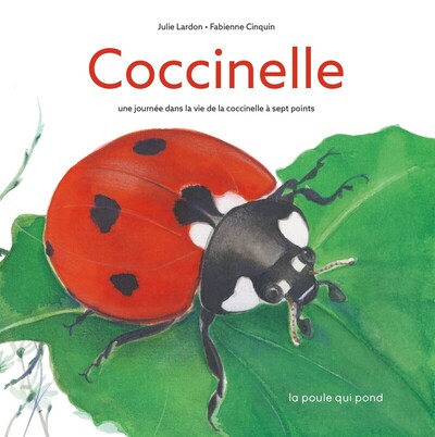 COCCINELLE