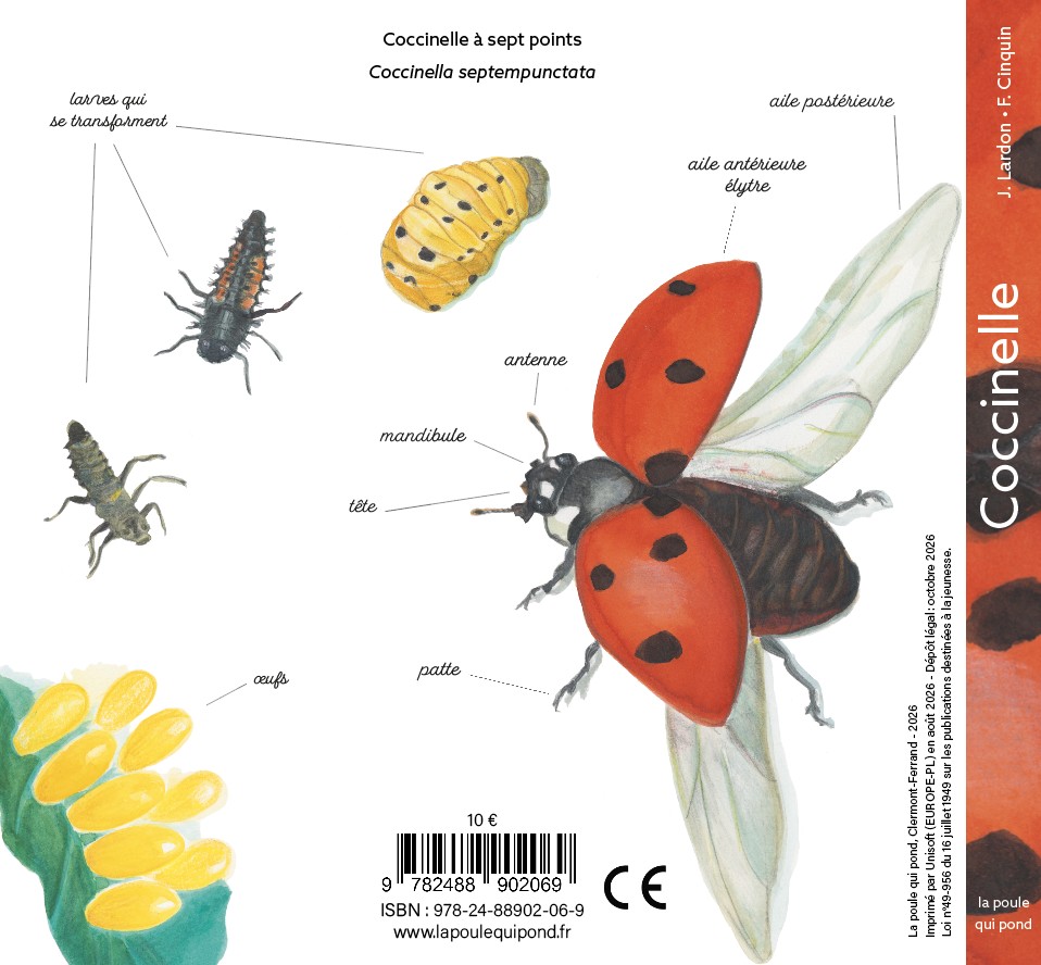 COCCINELLE