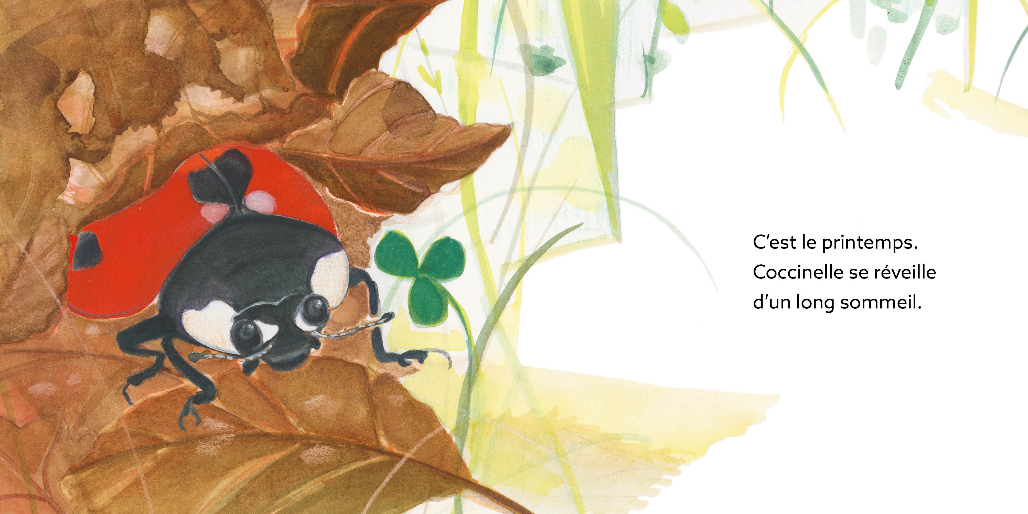 COCCINELLE