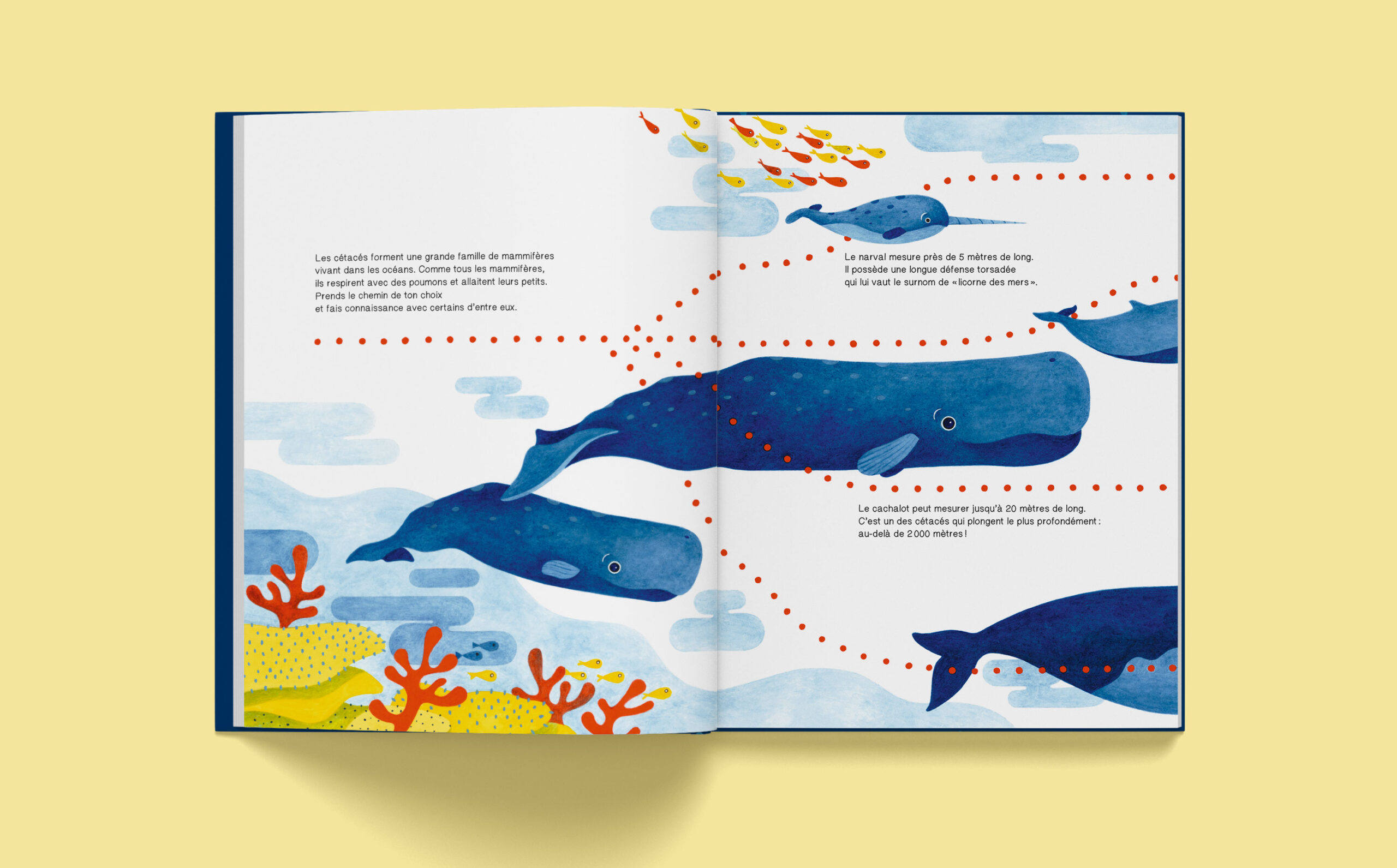 SUIS DU DOIGT LA BALEINE