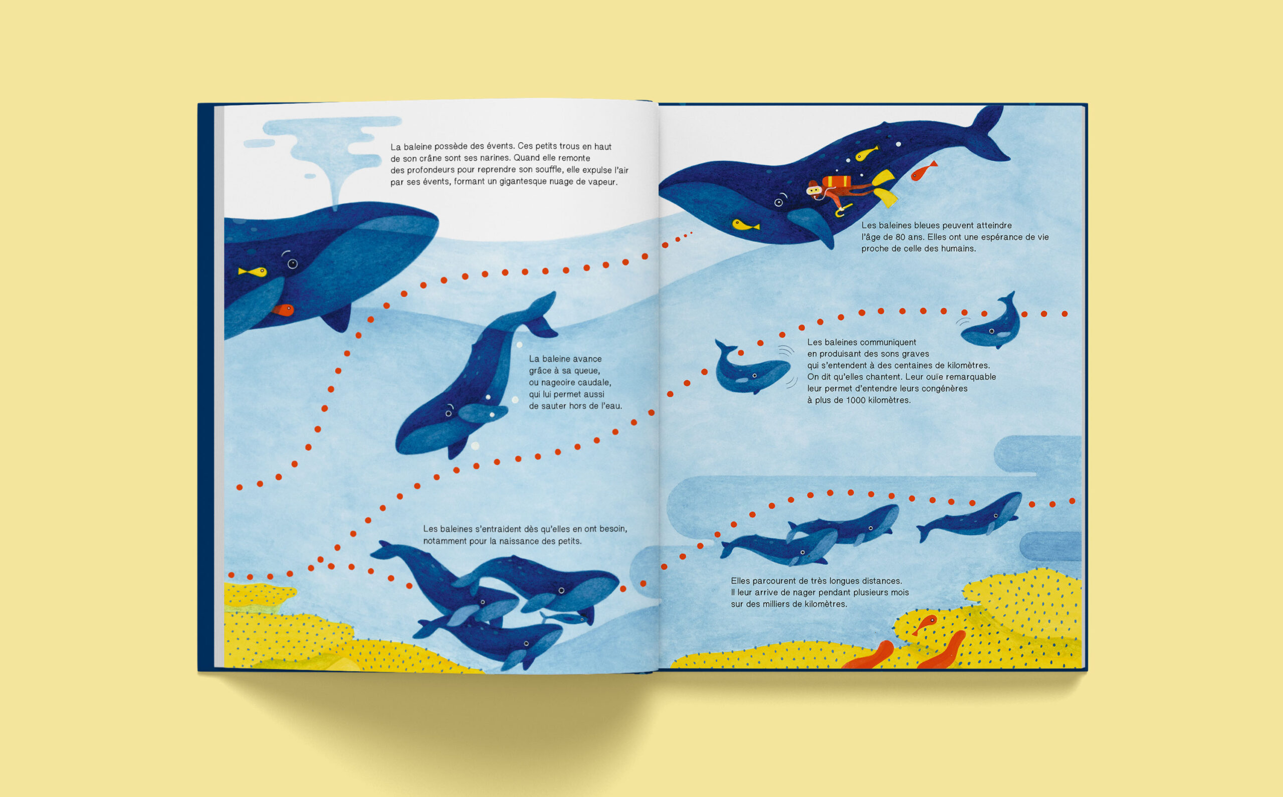 SUIS DU DOIGT LA BALEINE