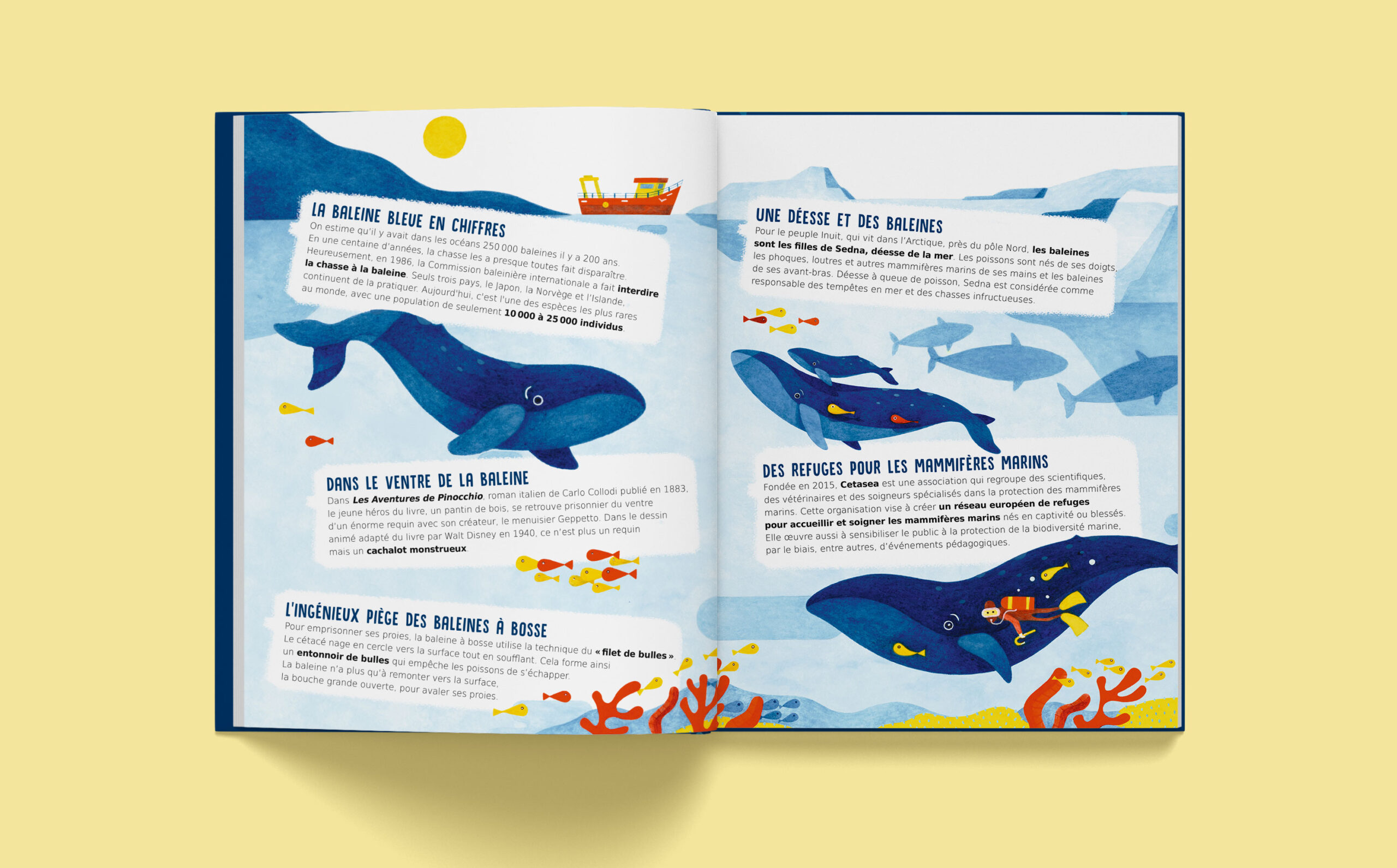SUIS DU DOIGT LA BALEINE