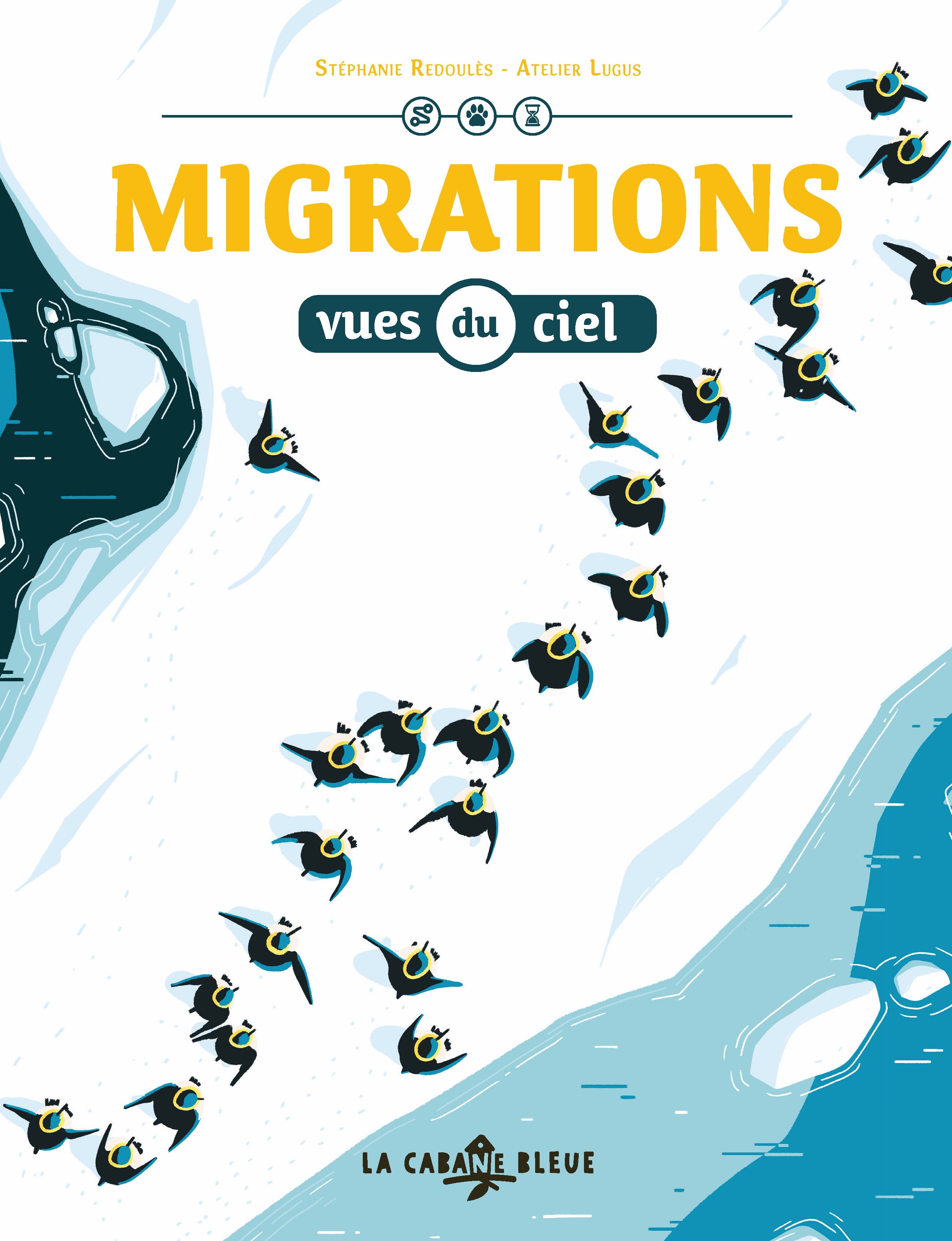 MIGRATIONS VUES DU CIEL