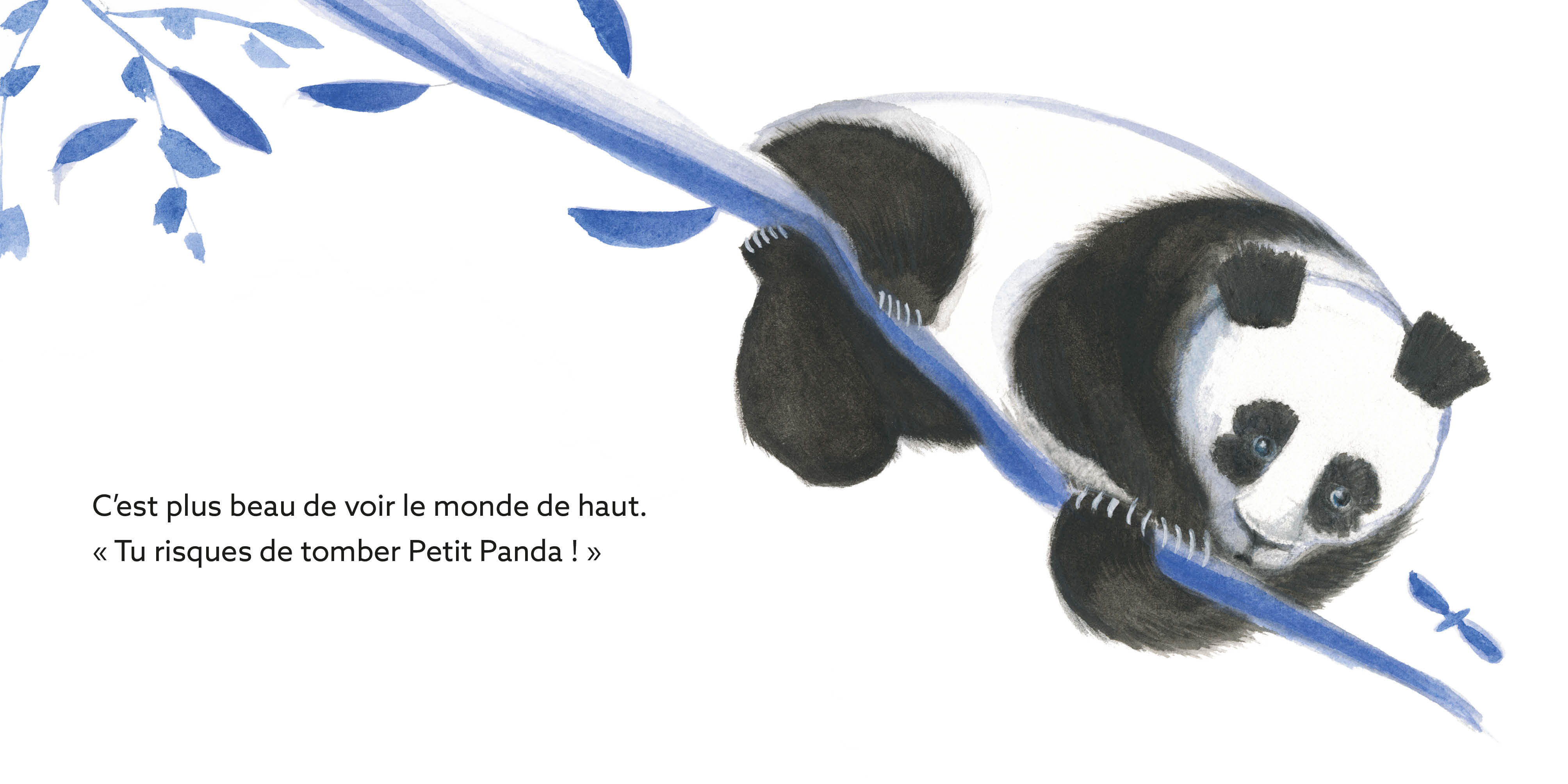 PETIT PANDA