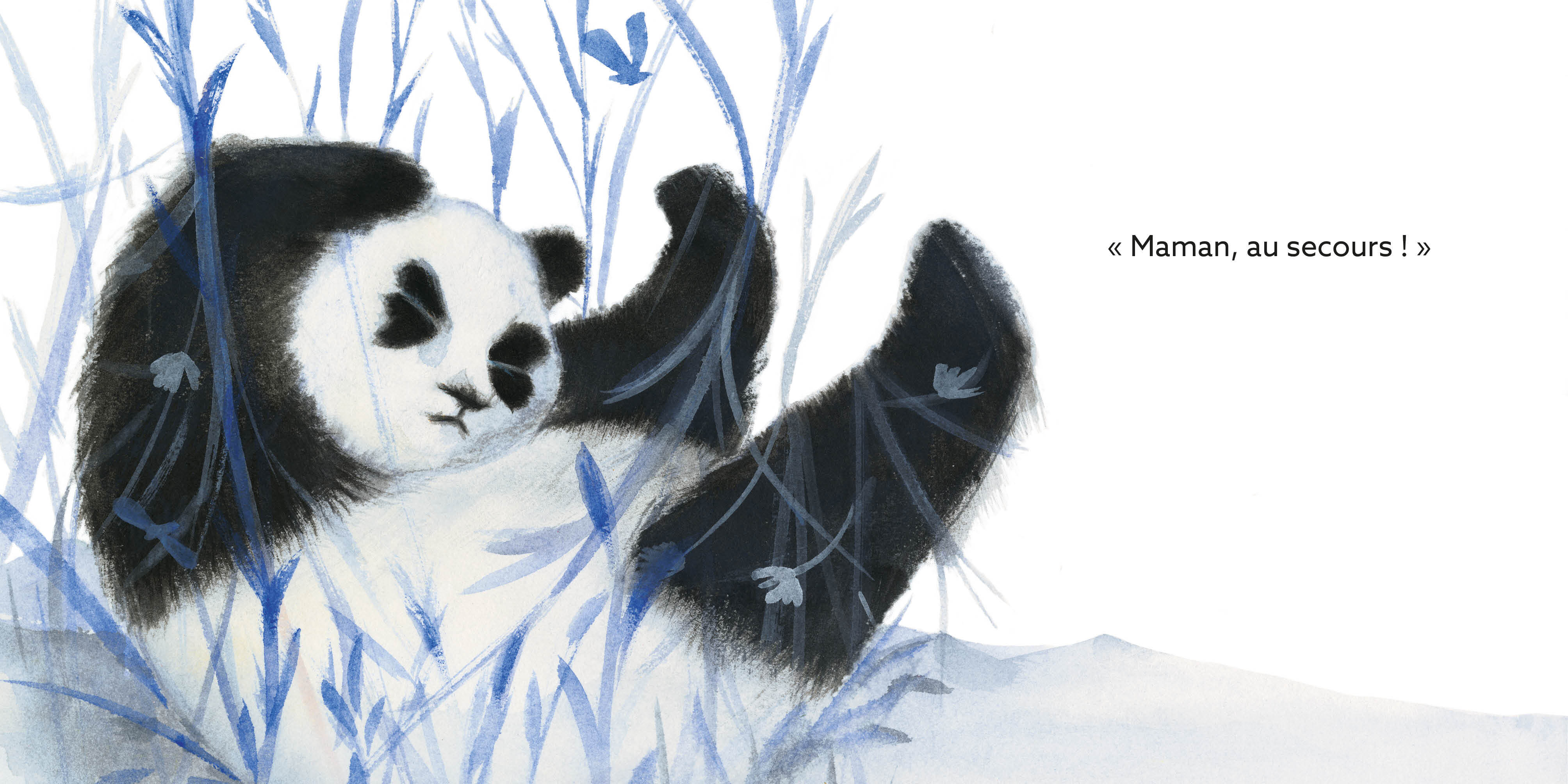 PETIT PANDA