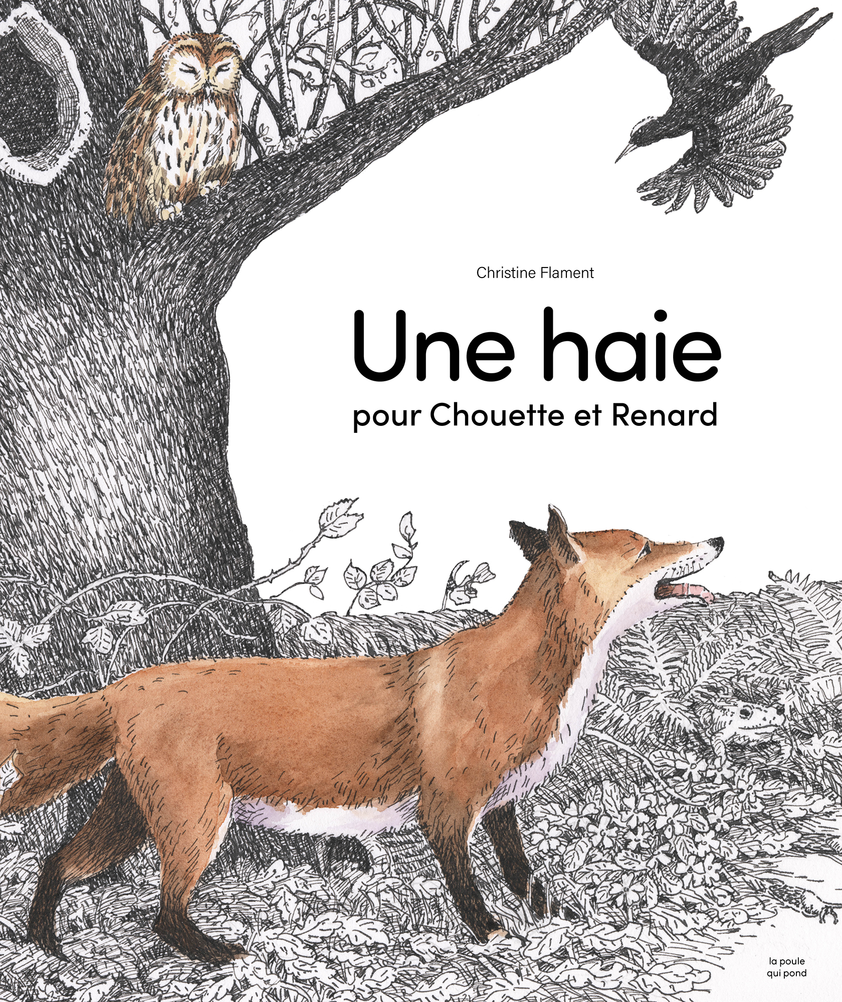 UNE HAIE POUR CHOUETTE ET RENARD UNE HAIE POUR CHOUETTE ET RENARD
