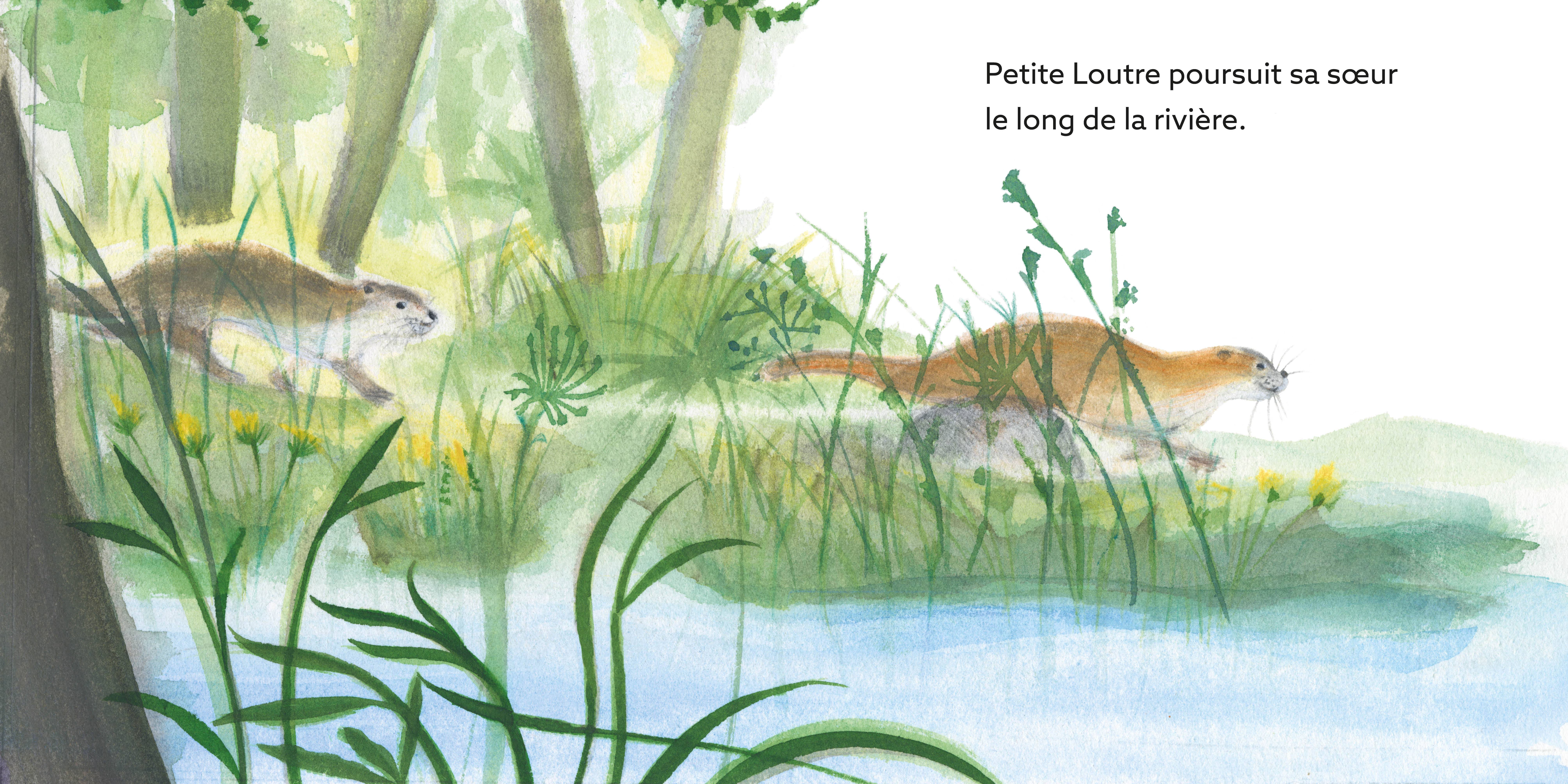 PETITES LOUTRES