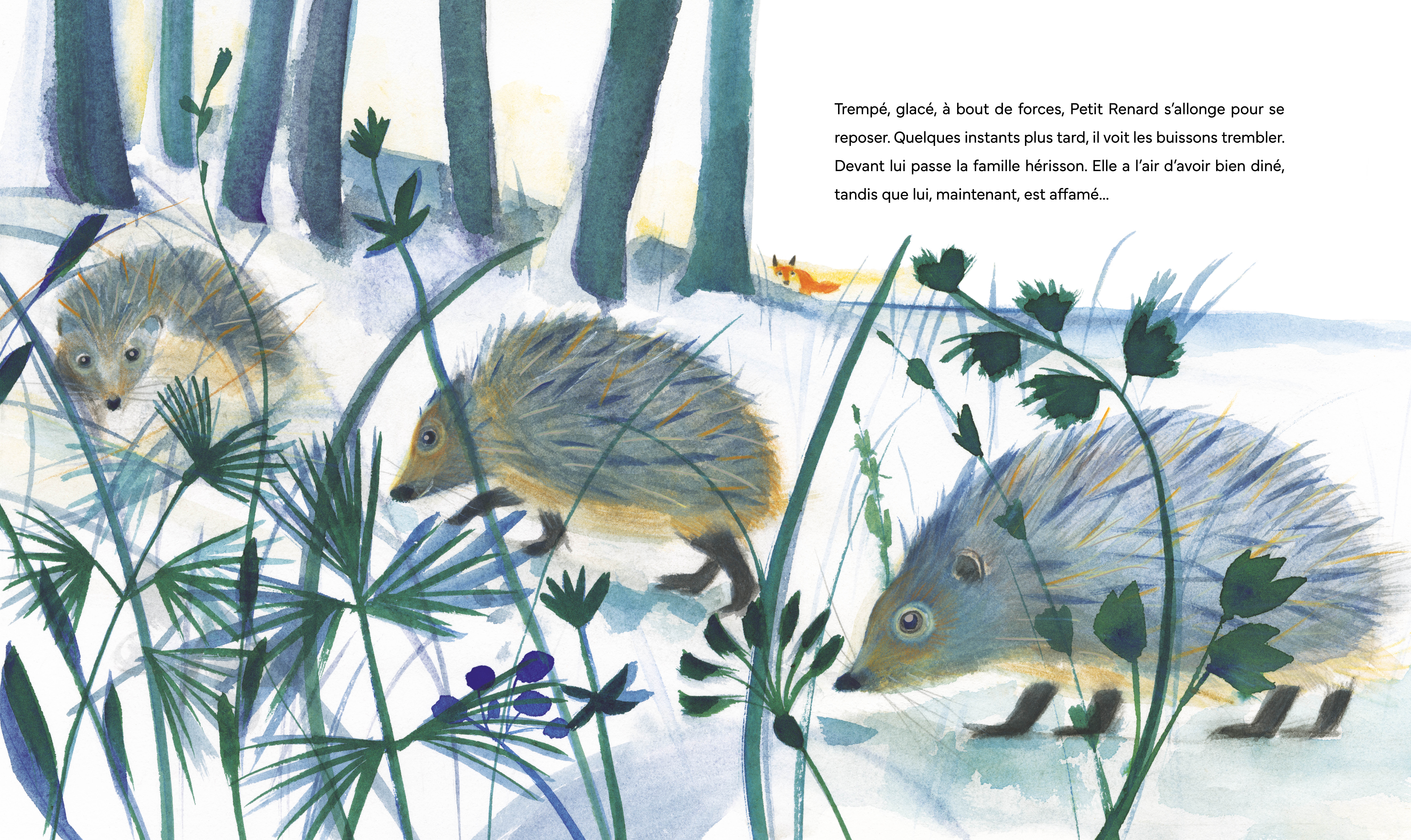 PETIT RENARD AU CLAIR DE LUNE