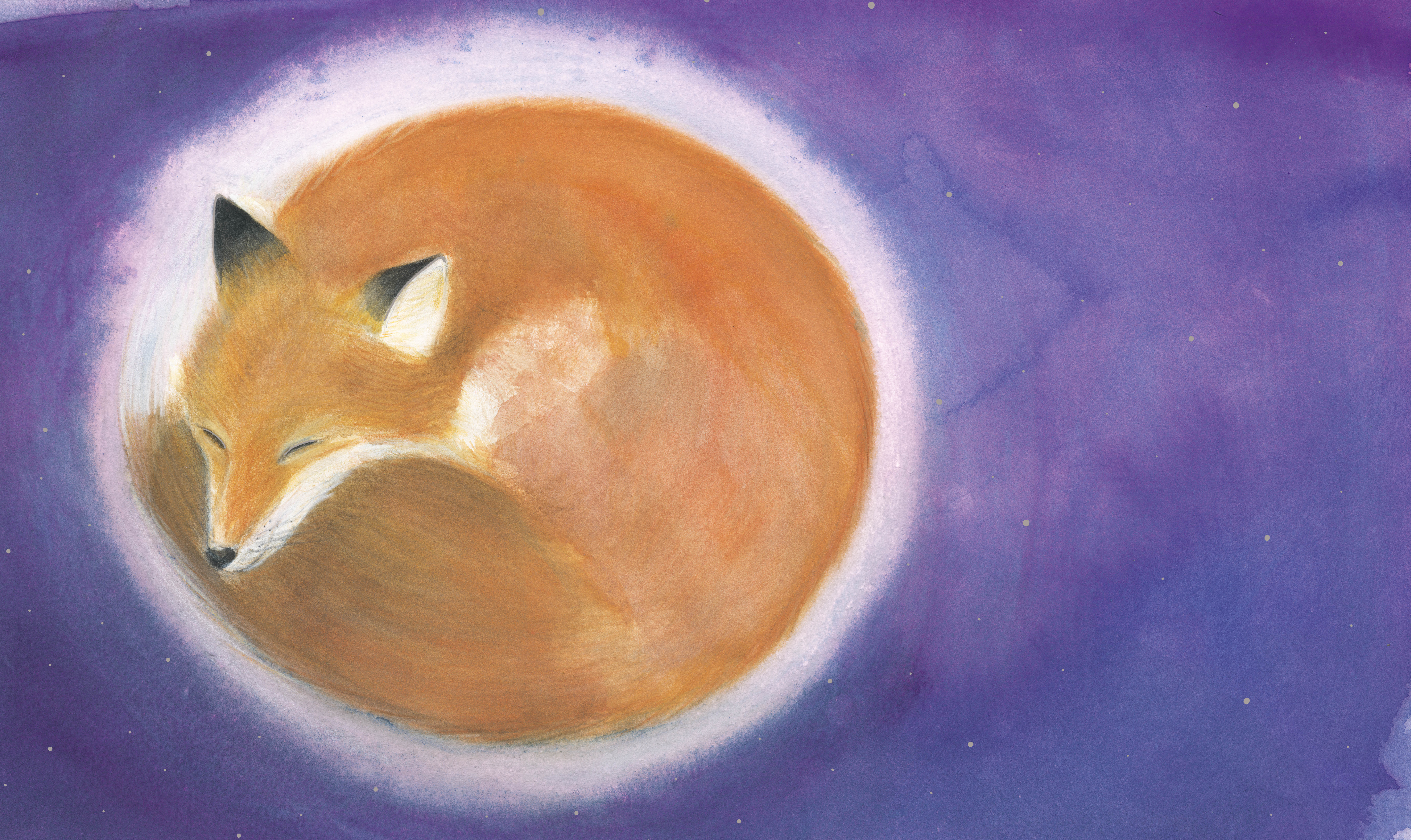 PETIT RENARD AU CLAIR DE LUNE
