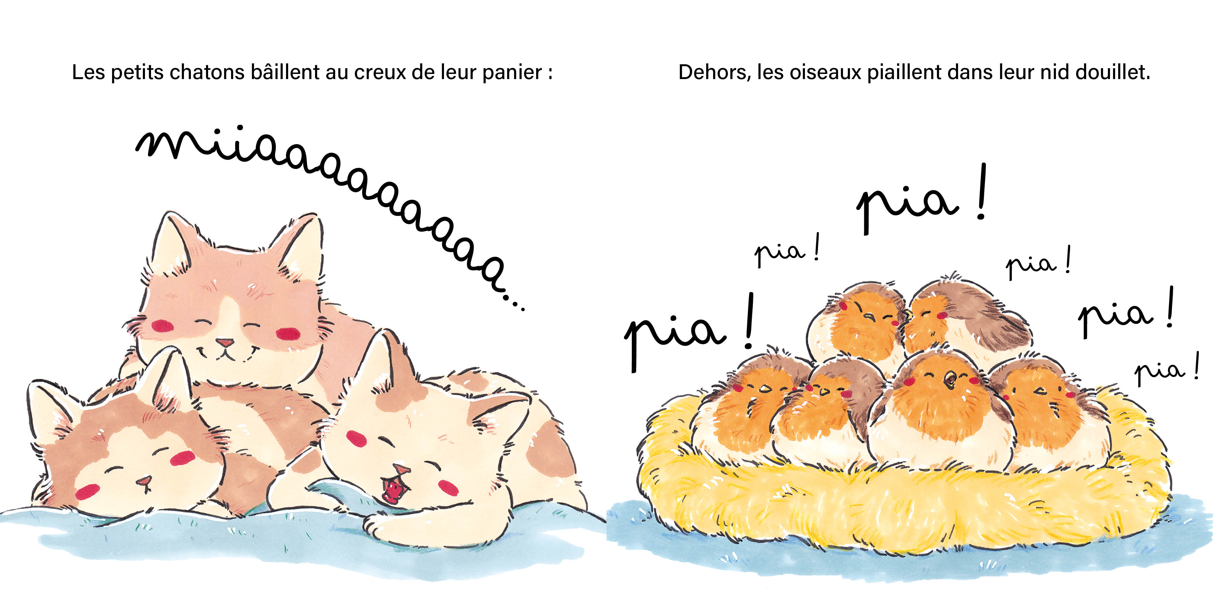 QUI BAILLE ?