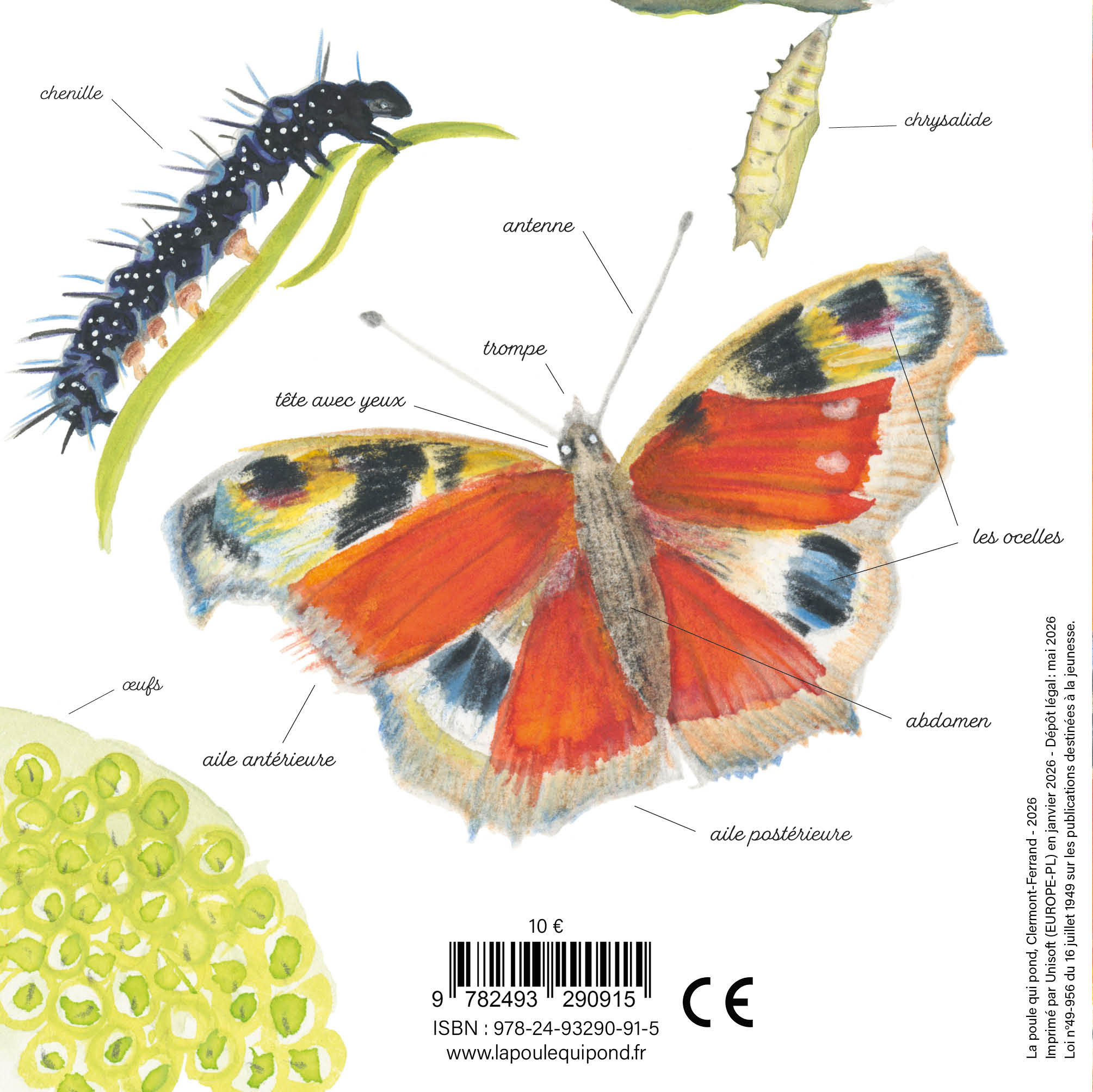 PAPILLON : UNE JOURNEE DANS LA VIE D