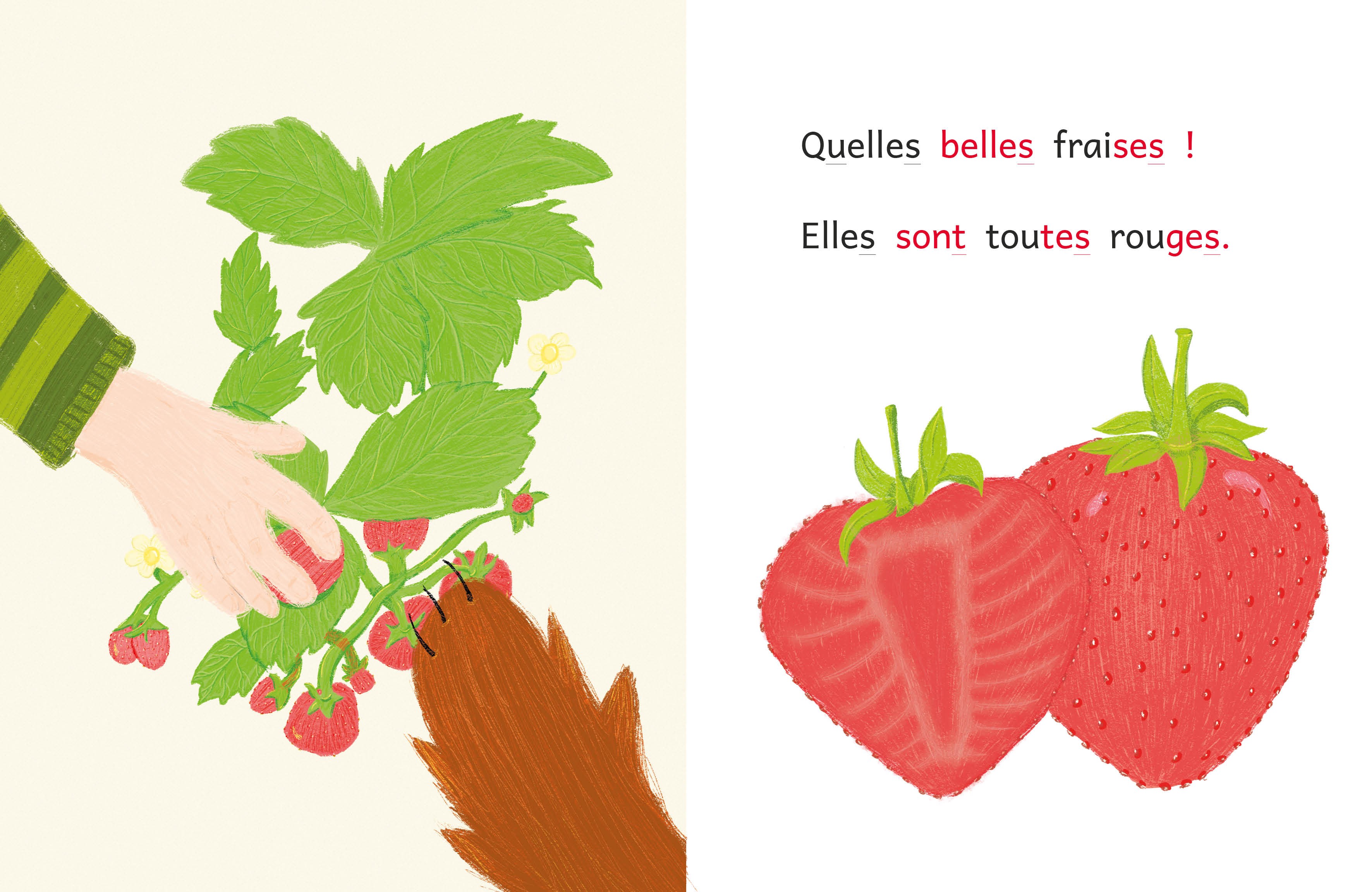 CHARLIE ET MIAM : LE PRINTEMPS CHARLIE ET MIAM : LE PRINTEMPS