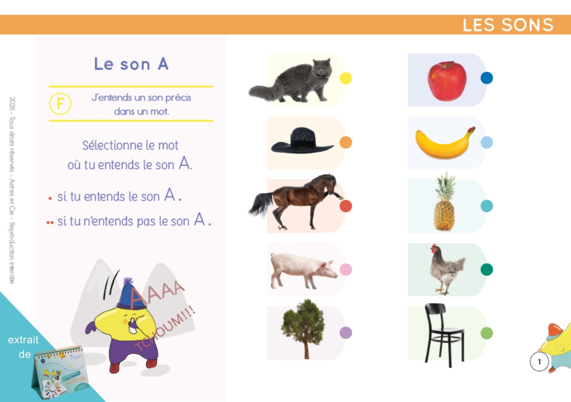 CHEVALET LES NOTIONS ESSENTIELLES GS/CP/CE1
