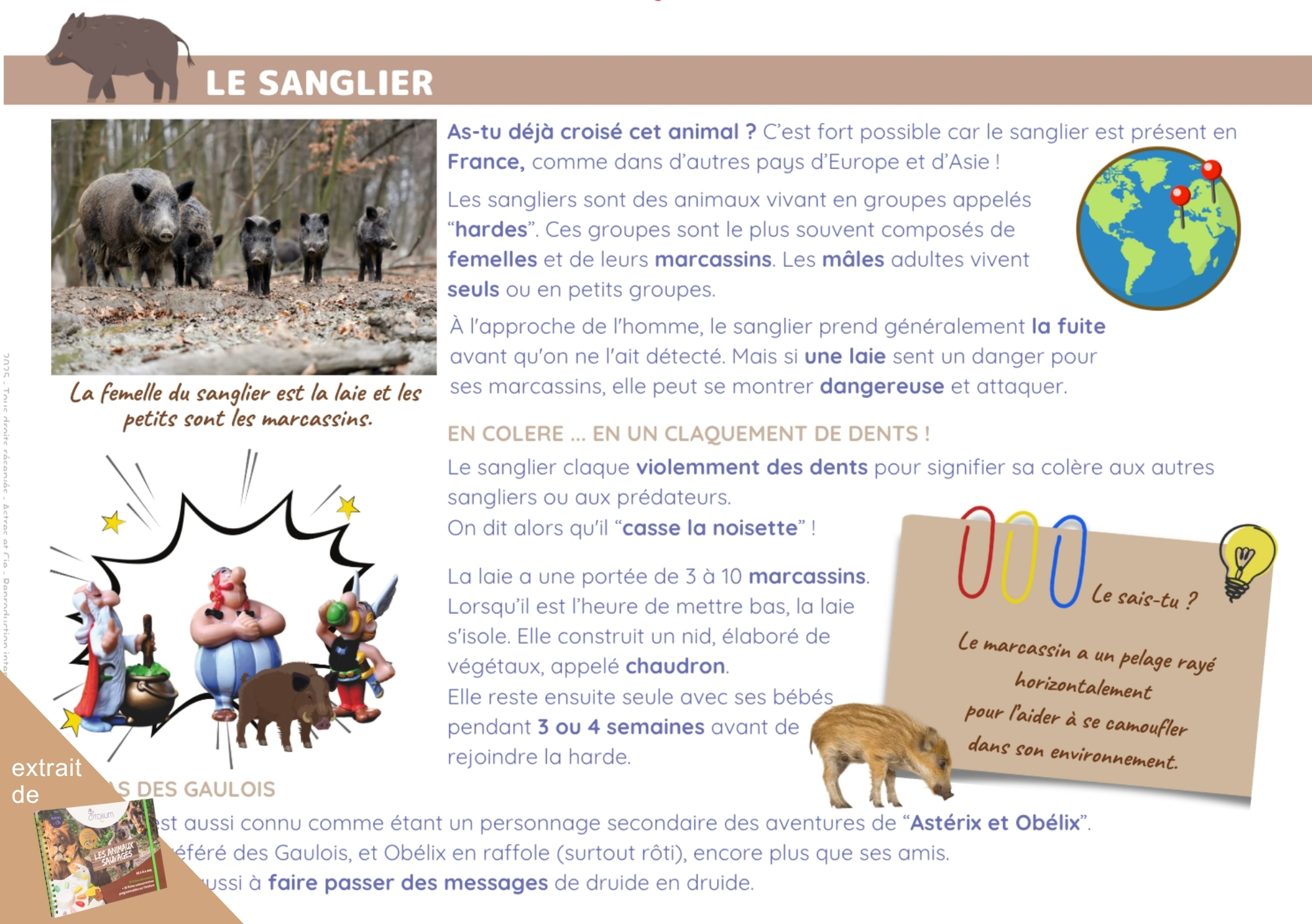LIVRET ANIMAUX SAUVAGES