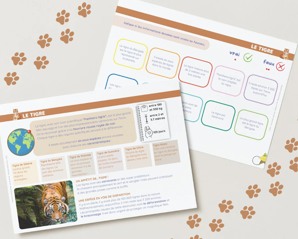 LIVRET ANIMAUX SAUVAGES