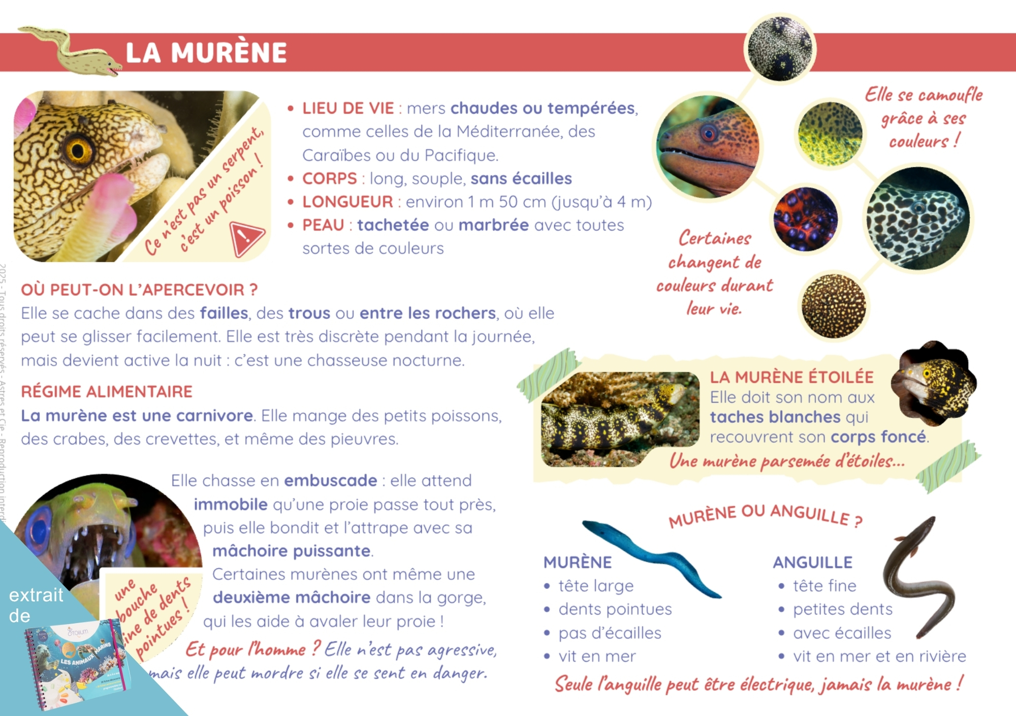 LIVRET LES ANIMAUX MARINS
