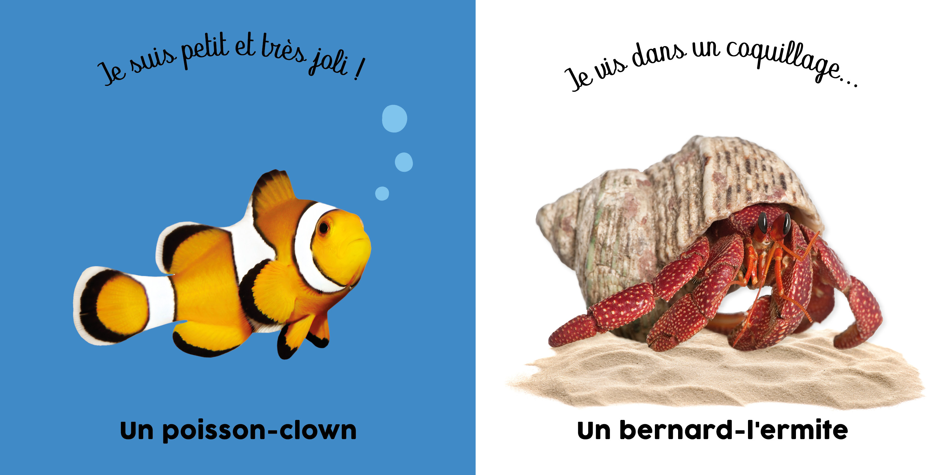 BEBE TOUCHE-A-TOUT - DANS L