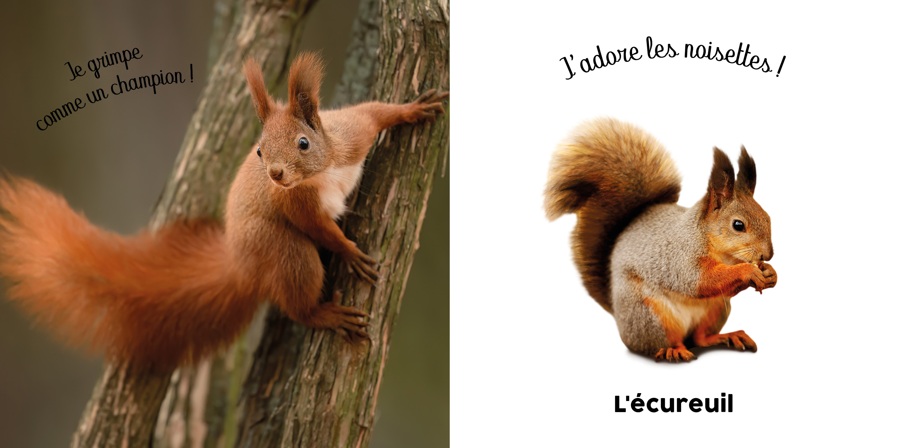 BEBE TOUCHE A TOUT - C
