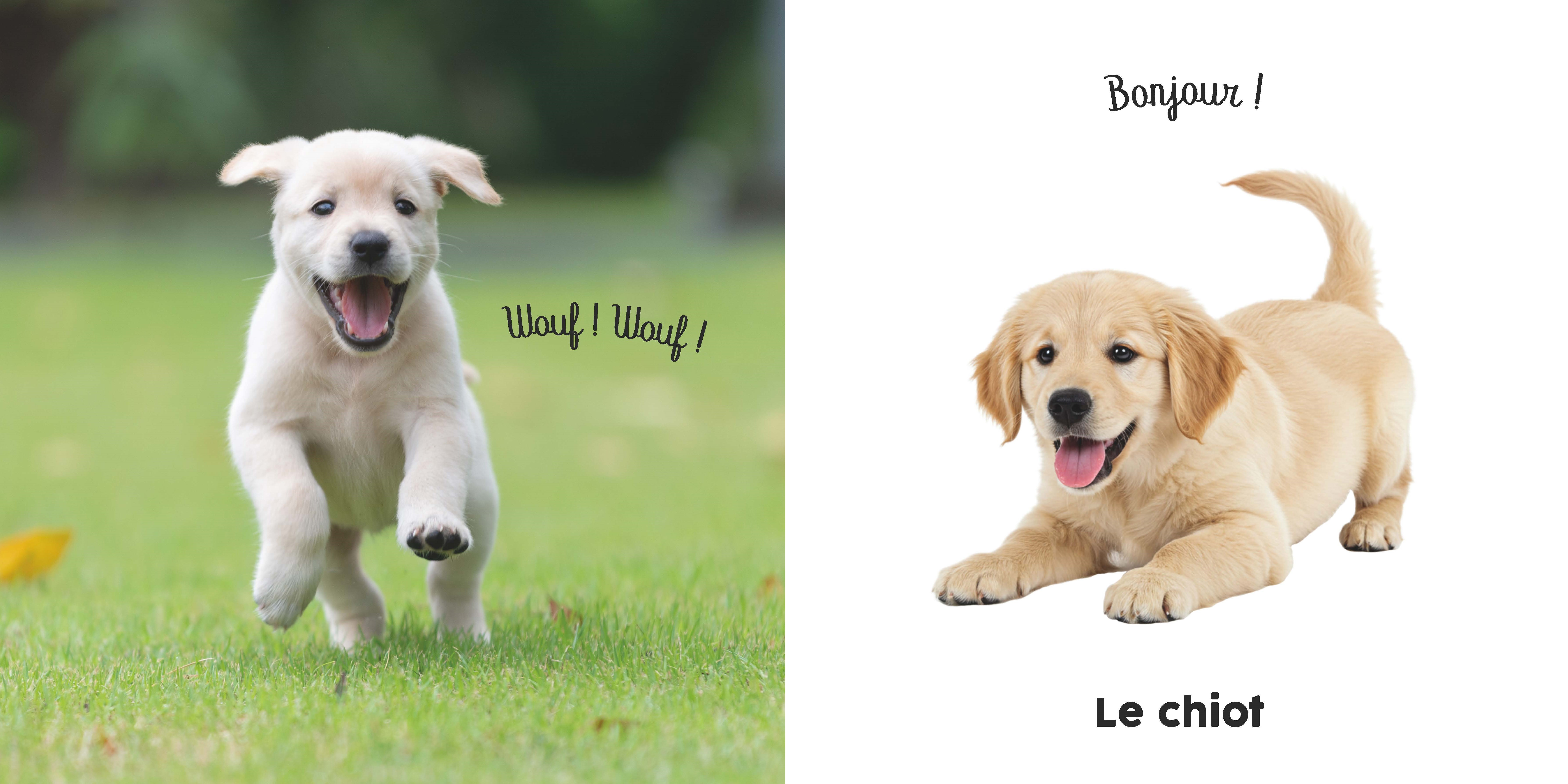 BEBE TOUCHE-A-TOUT - BONJOUR LES BEBES !