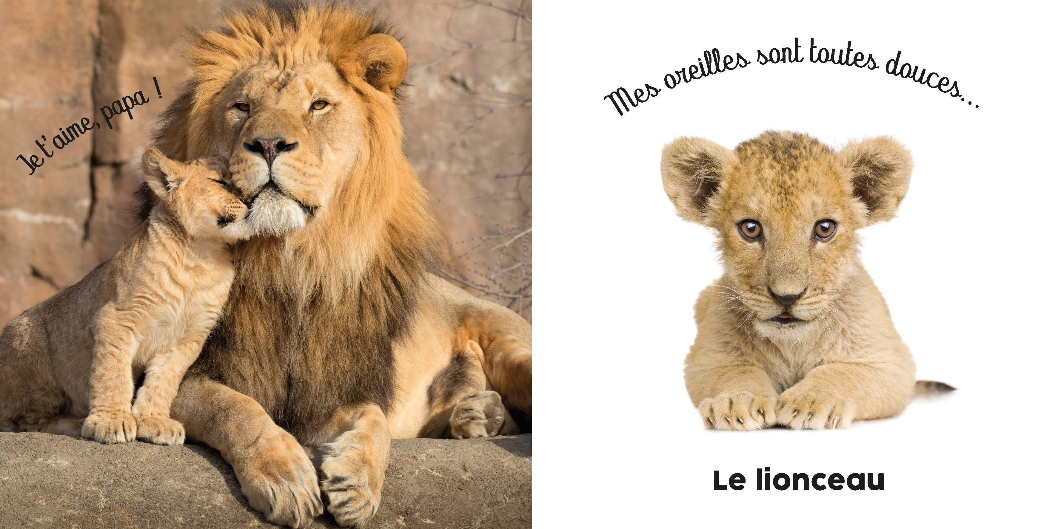 BEBE TOUCHE-A-TOUT - BONJOUR LES BEBES !