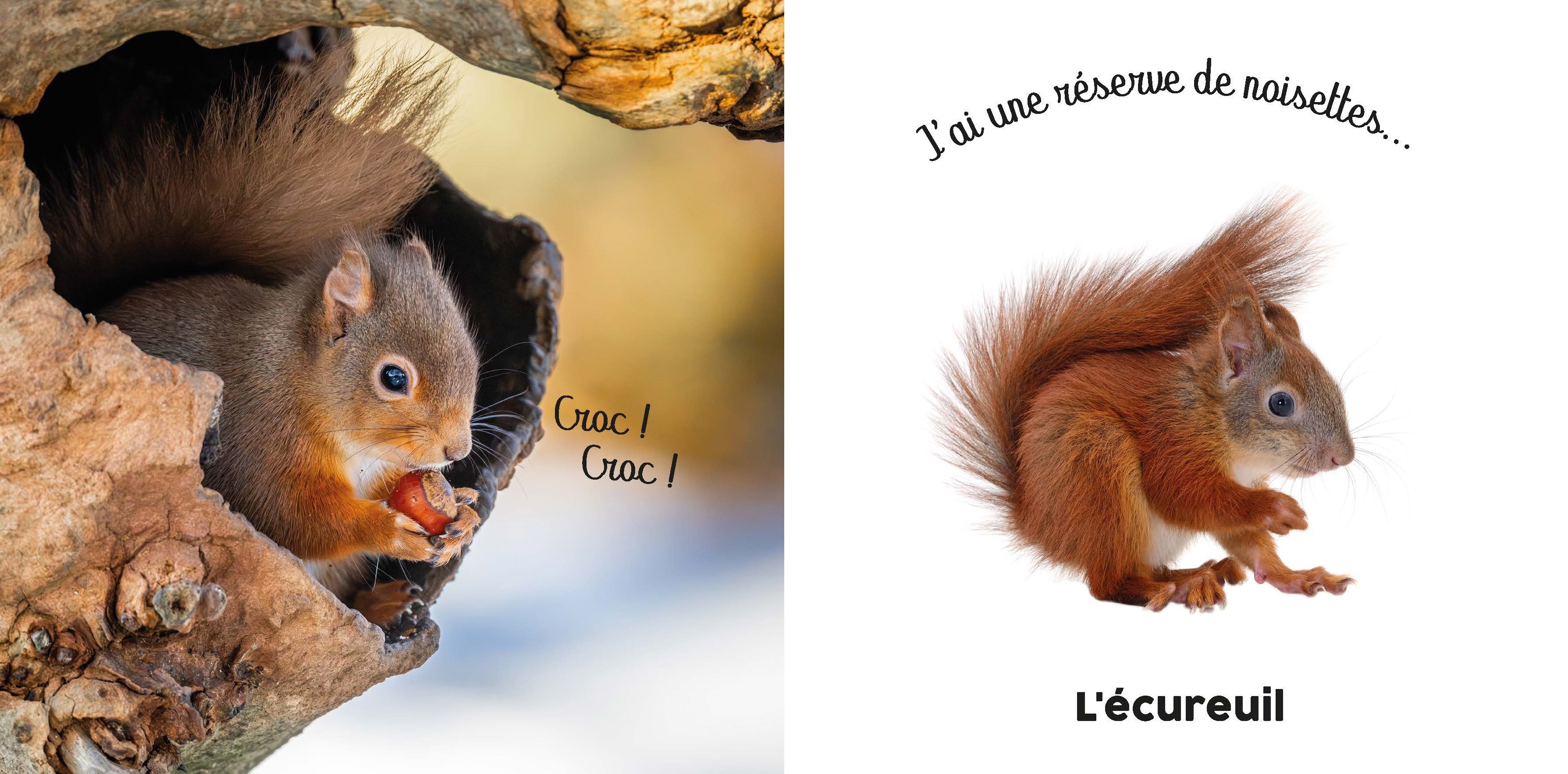 BEBE TOUCHE-A-TOUT - LES PETITS MIGNONS