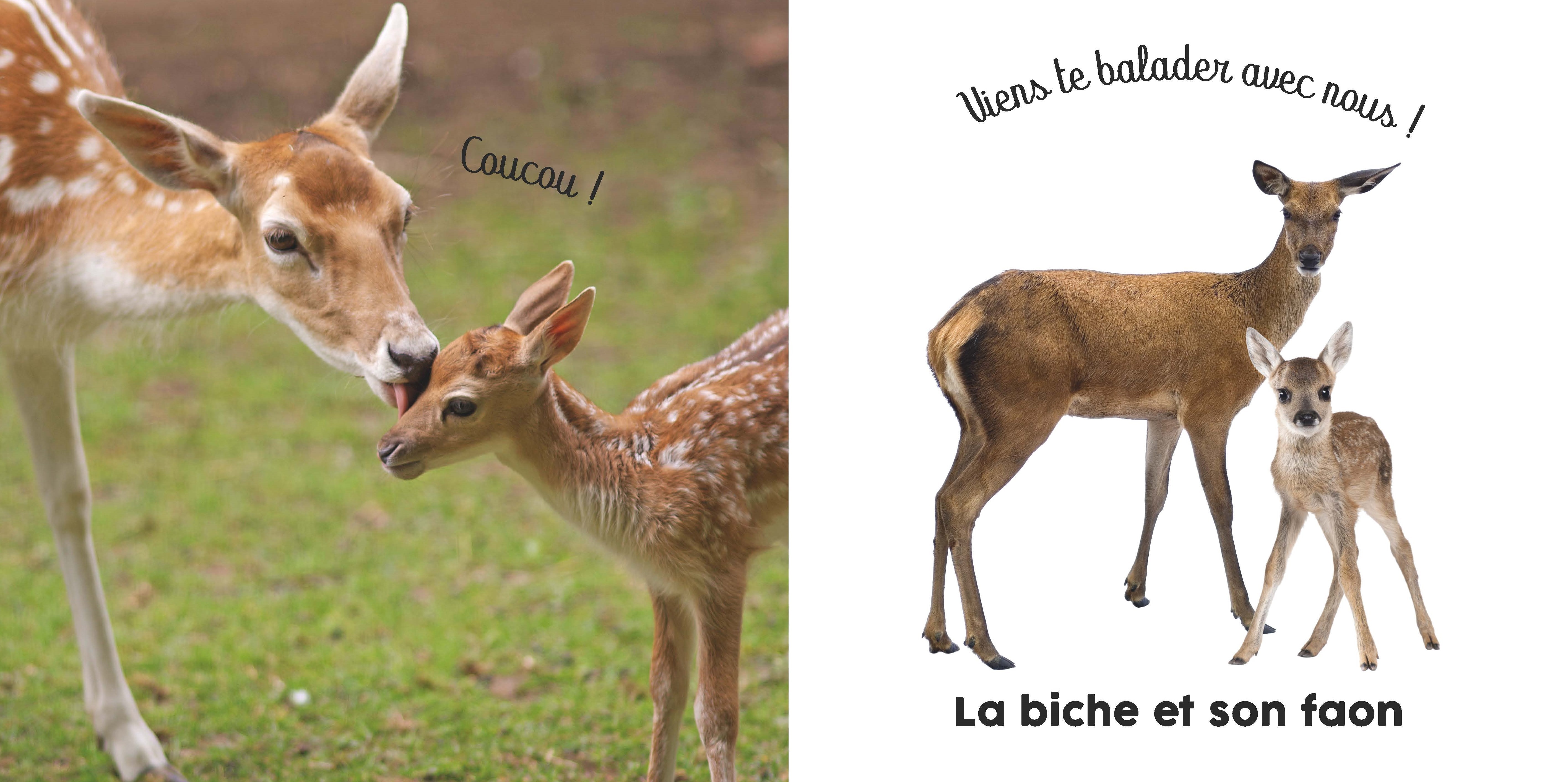 BEBE TOUCHE-A-TOUT - AVEC MAMAN